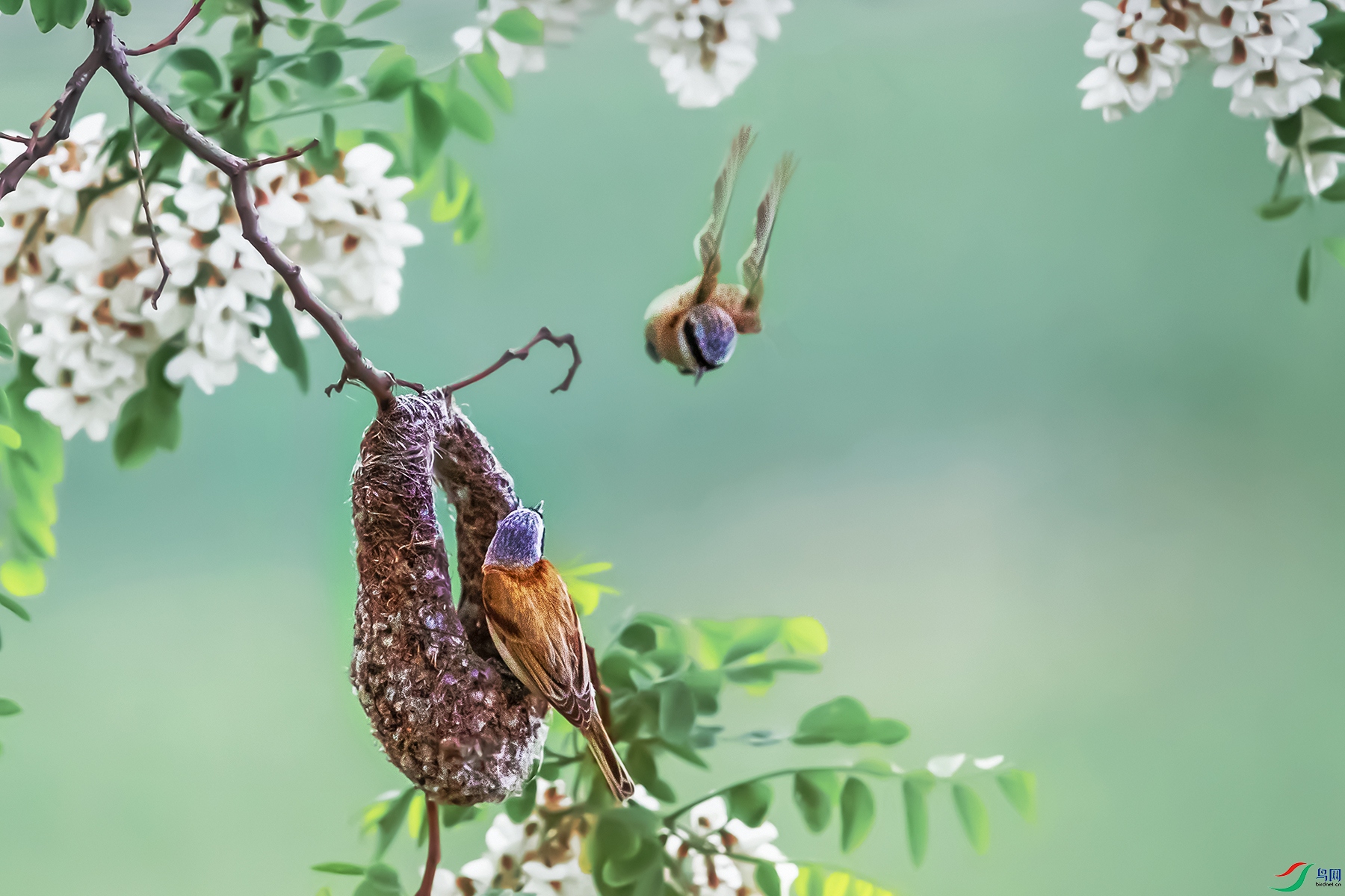 �л���ȸ----���ܳ������ݡ�