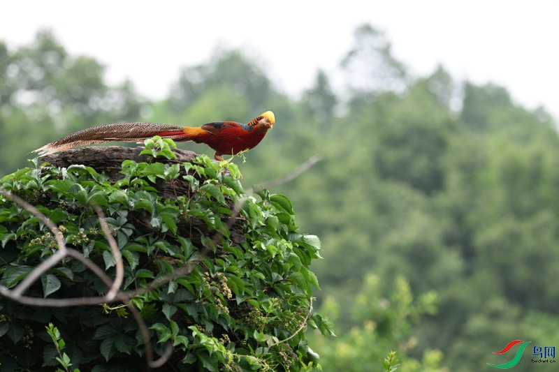 DSC_3415.JPG