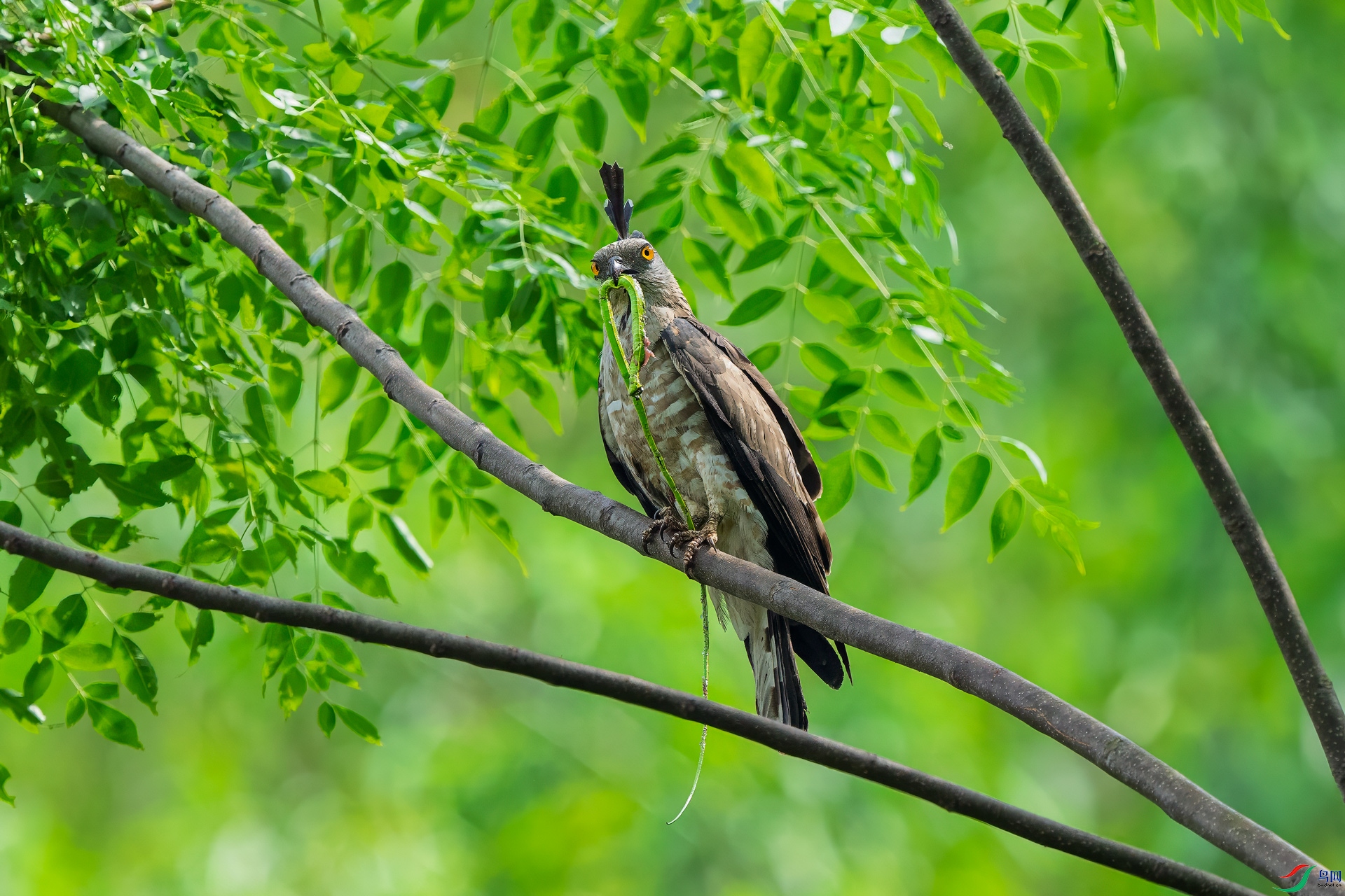 _DSC9207-1920.jpg