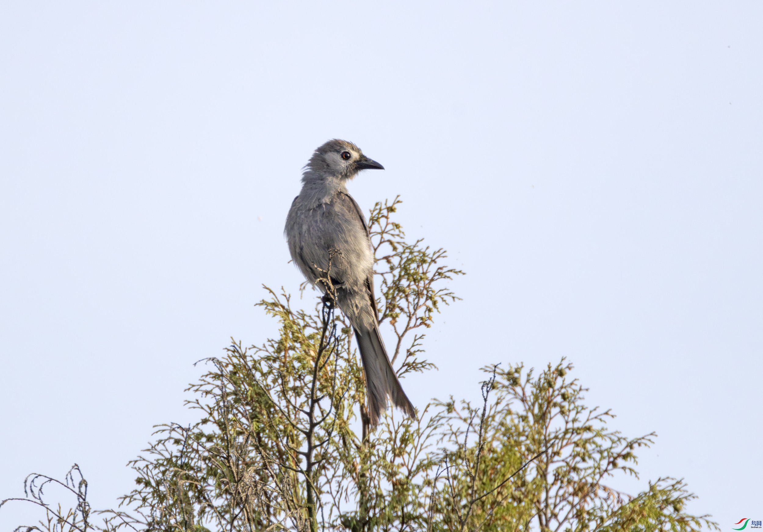 2I1A9862-����ǿ-NR ����.jpg