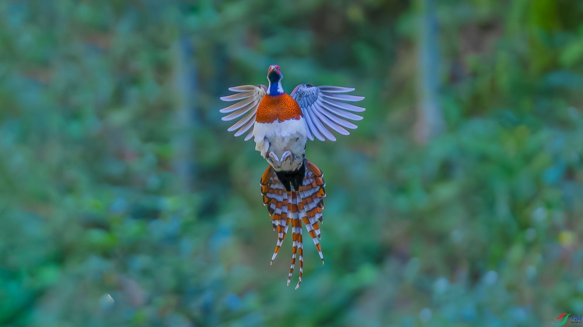 _D3I5762_3-����ǿ-NR.jpg