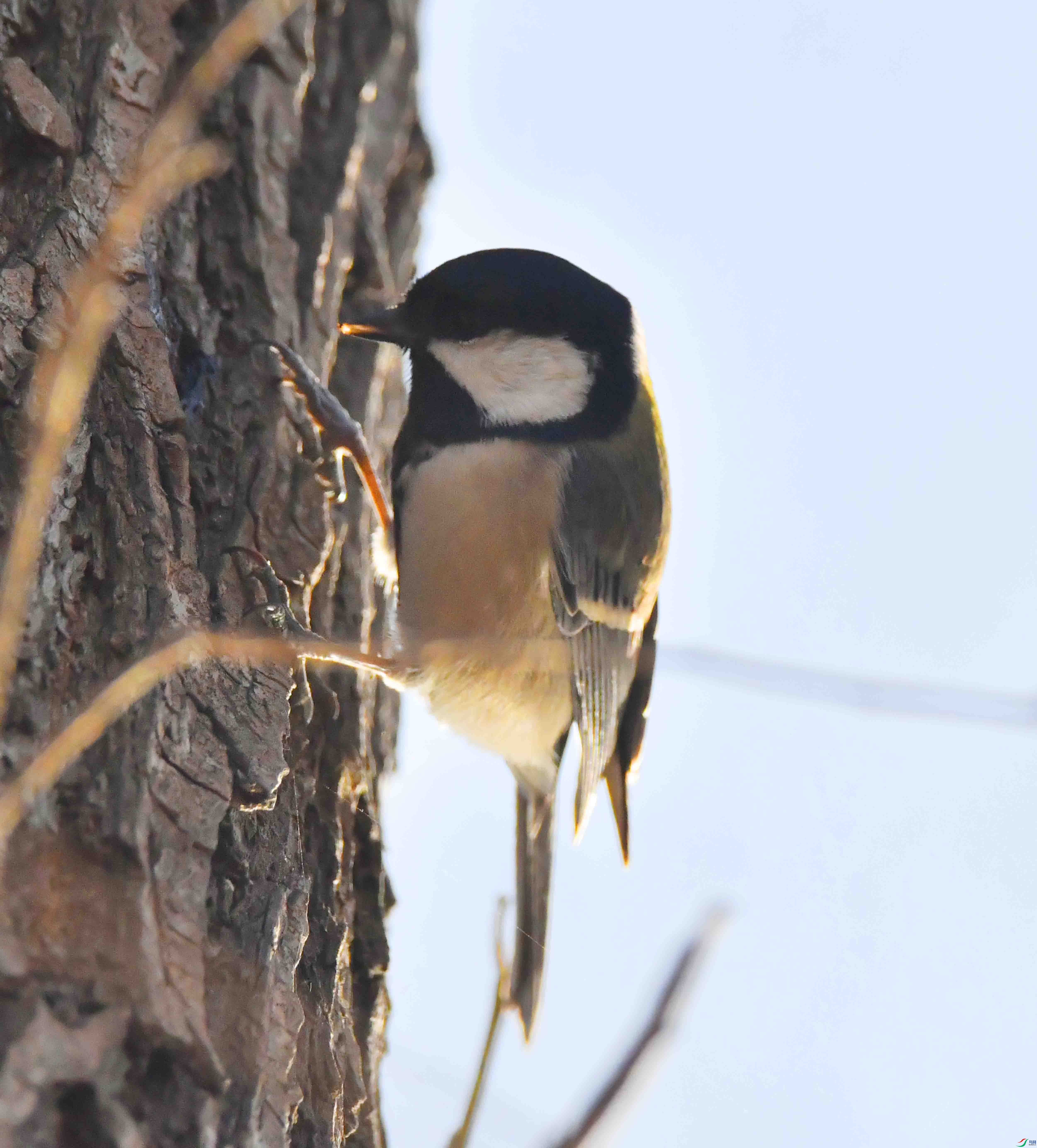 DSC_0104.JPG