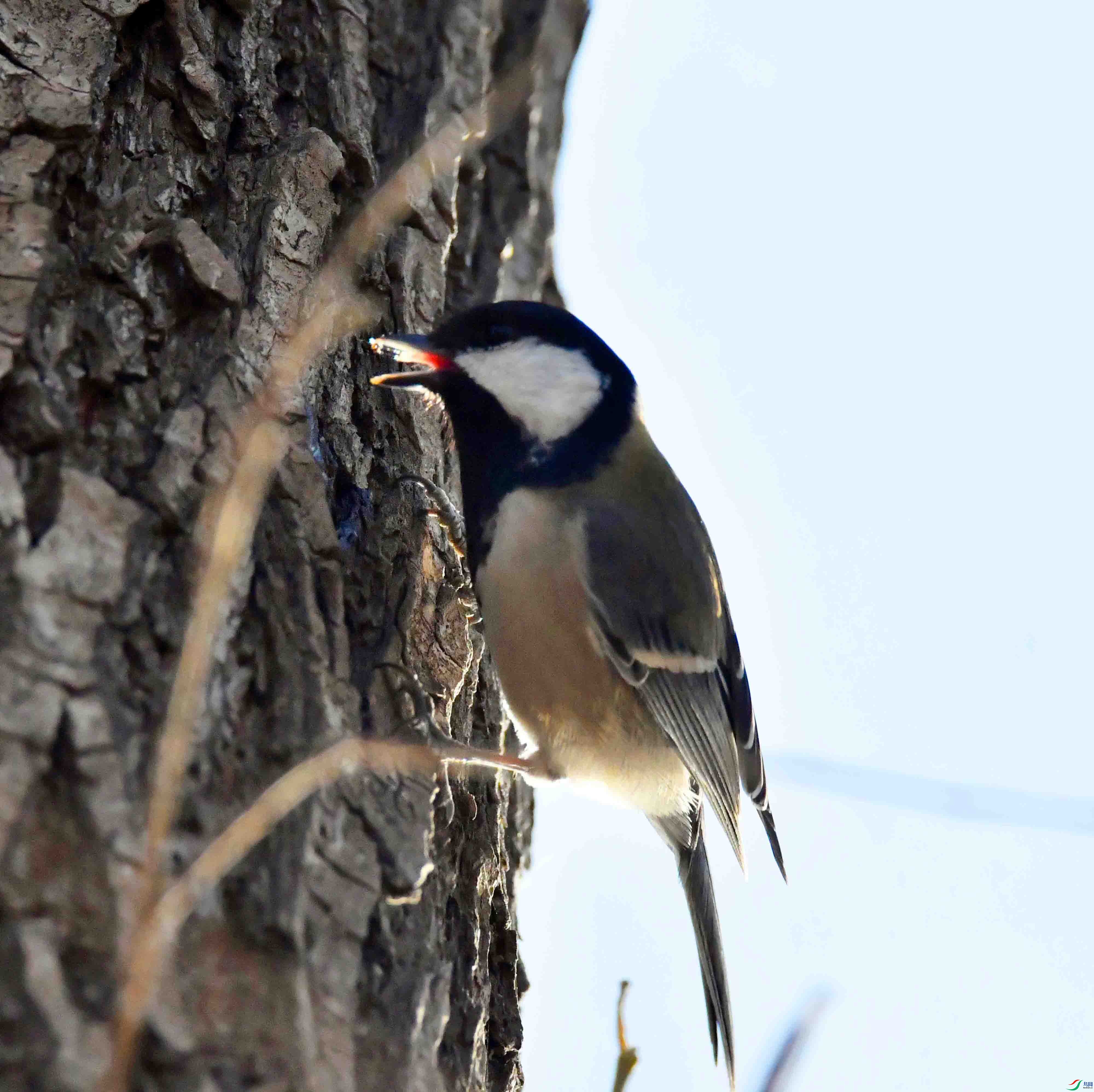 DSC_0107.JPG