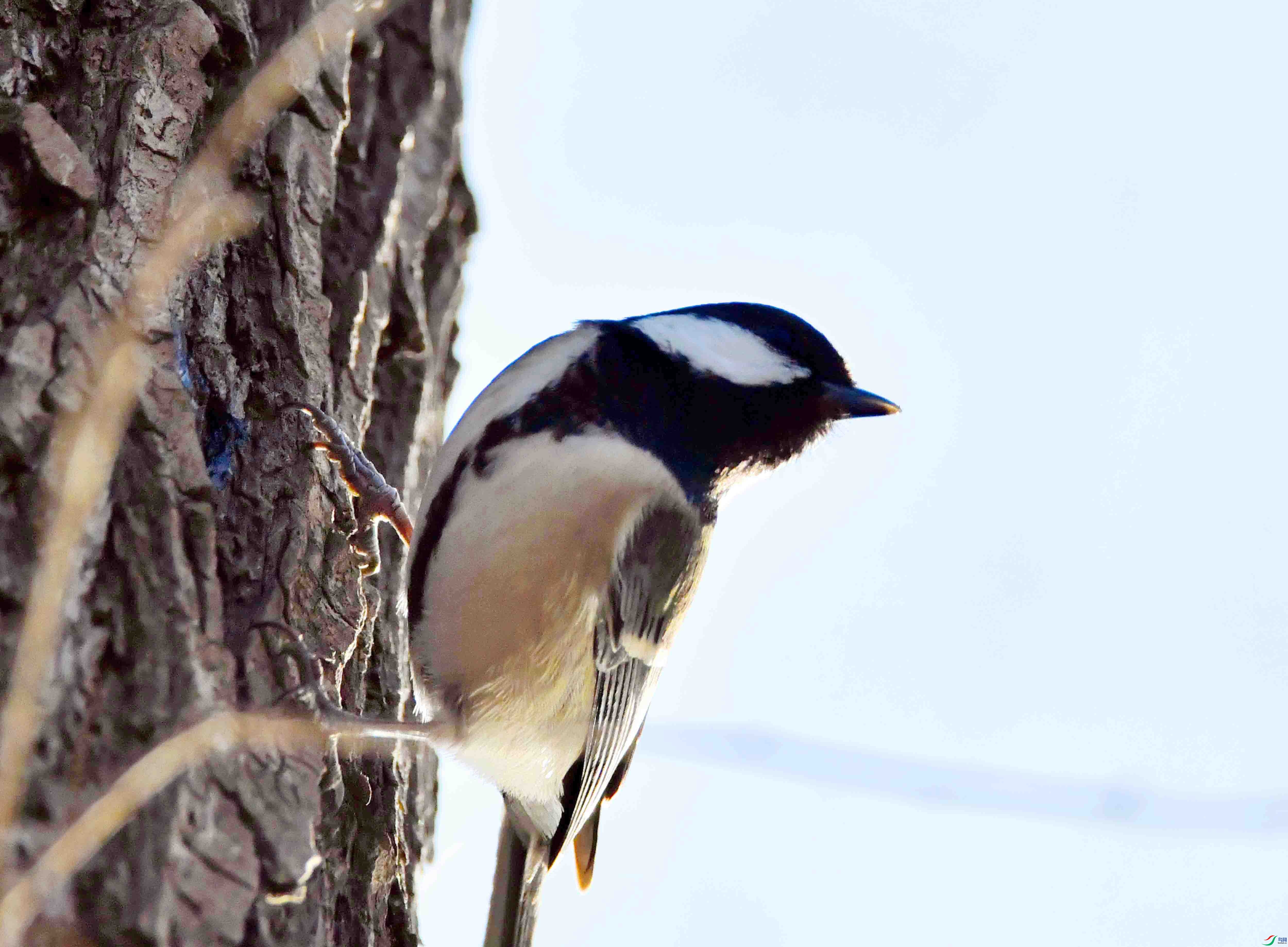 DSC_0108.JPG