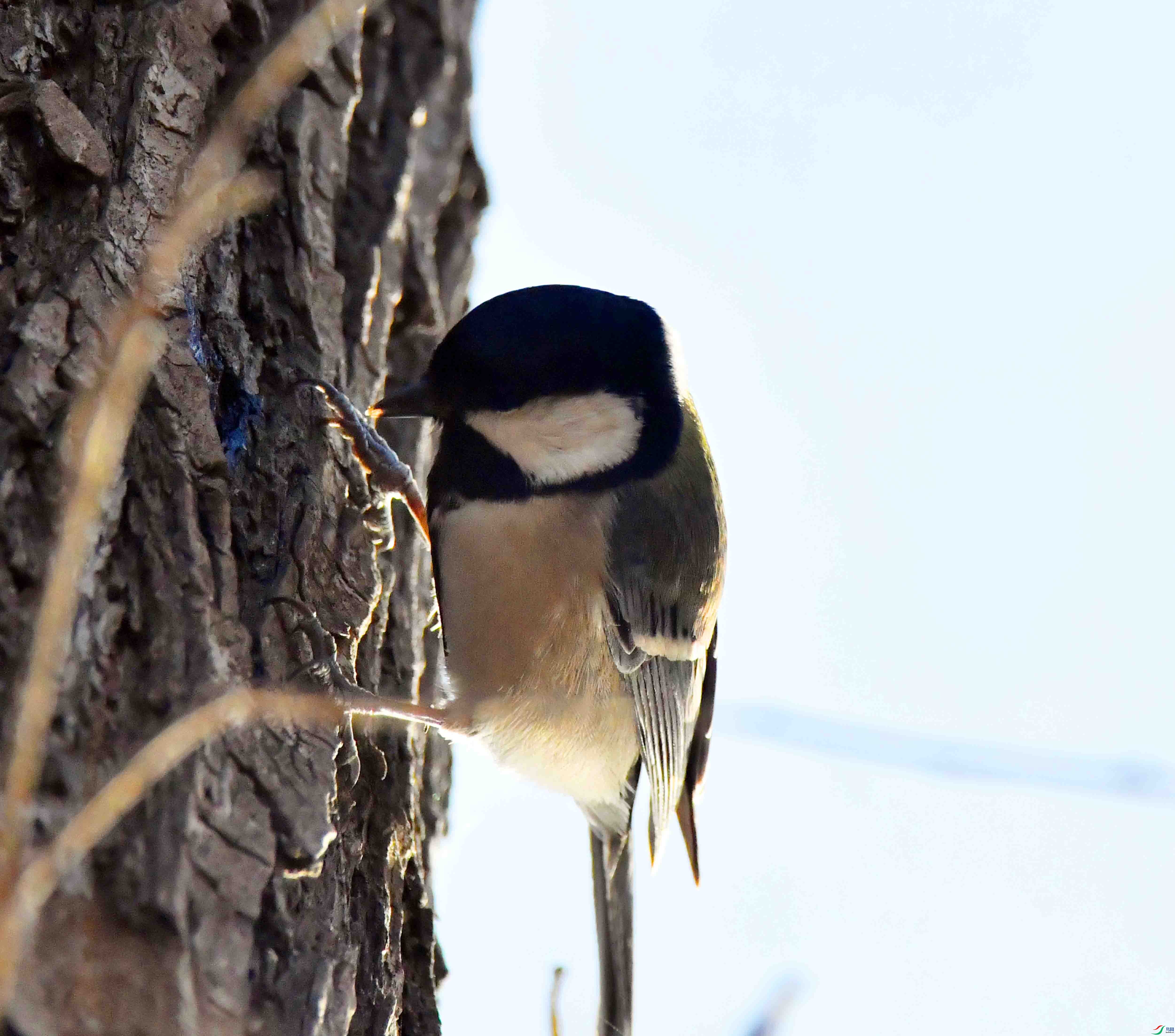 DSC_0110.JPG