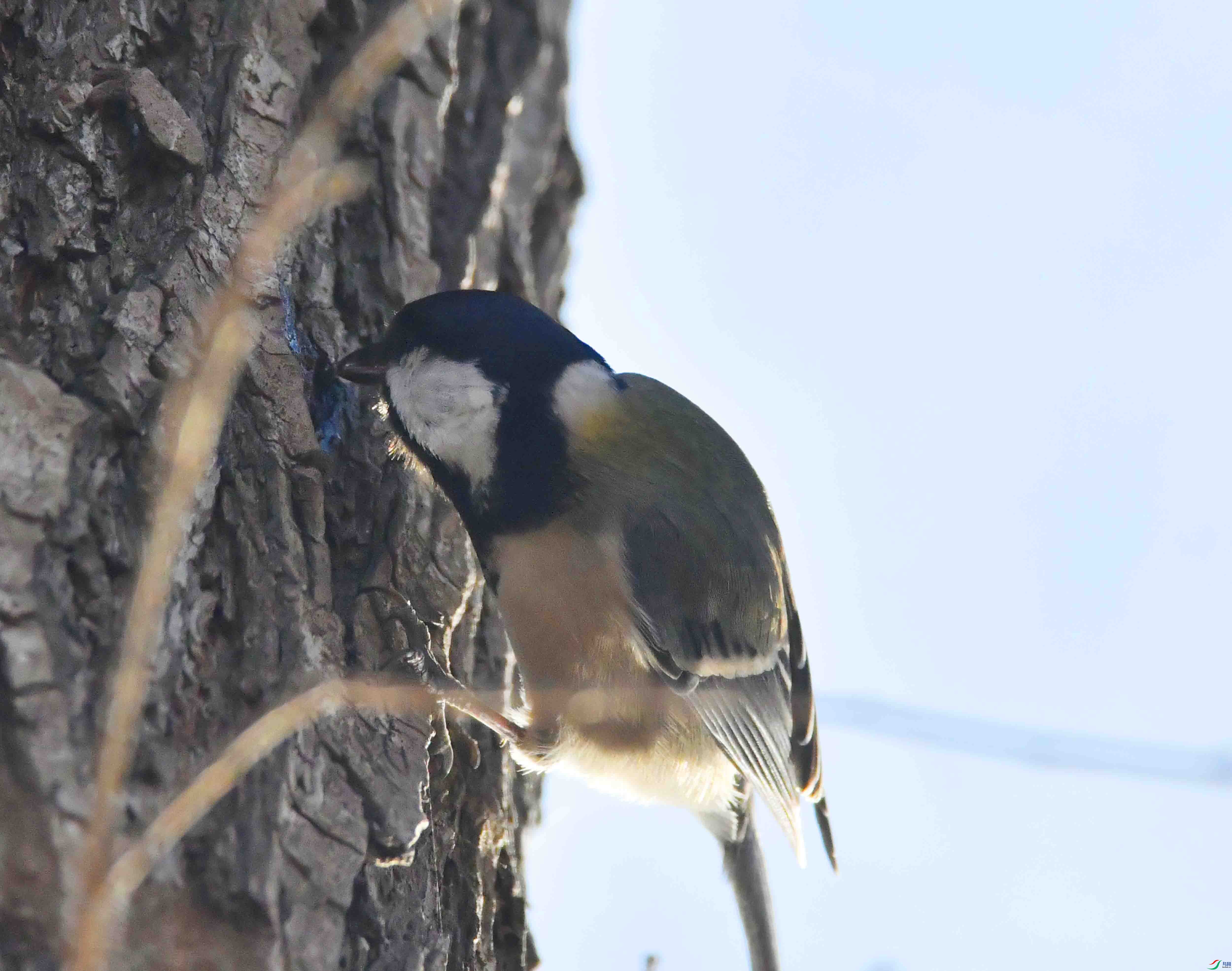 DSC_0111.JPG