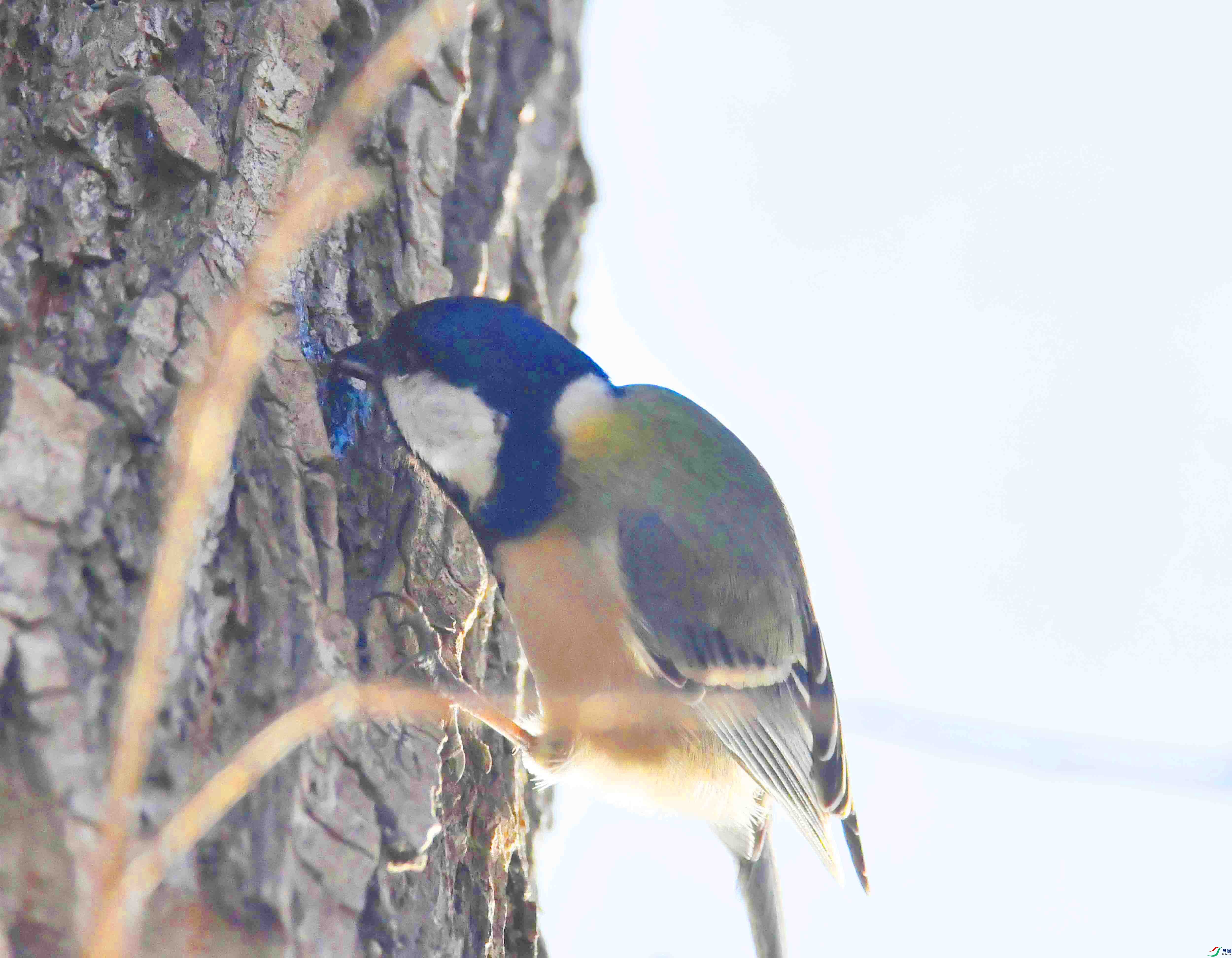 DSC_0112.JPG