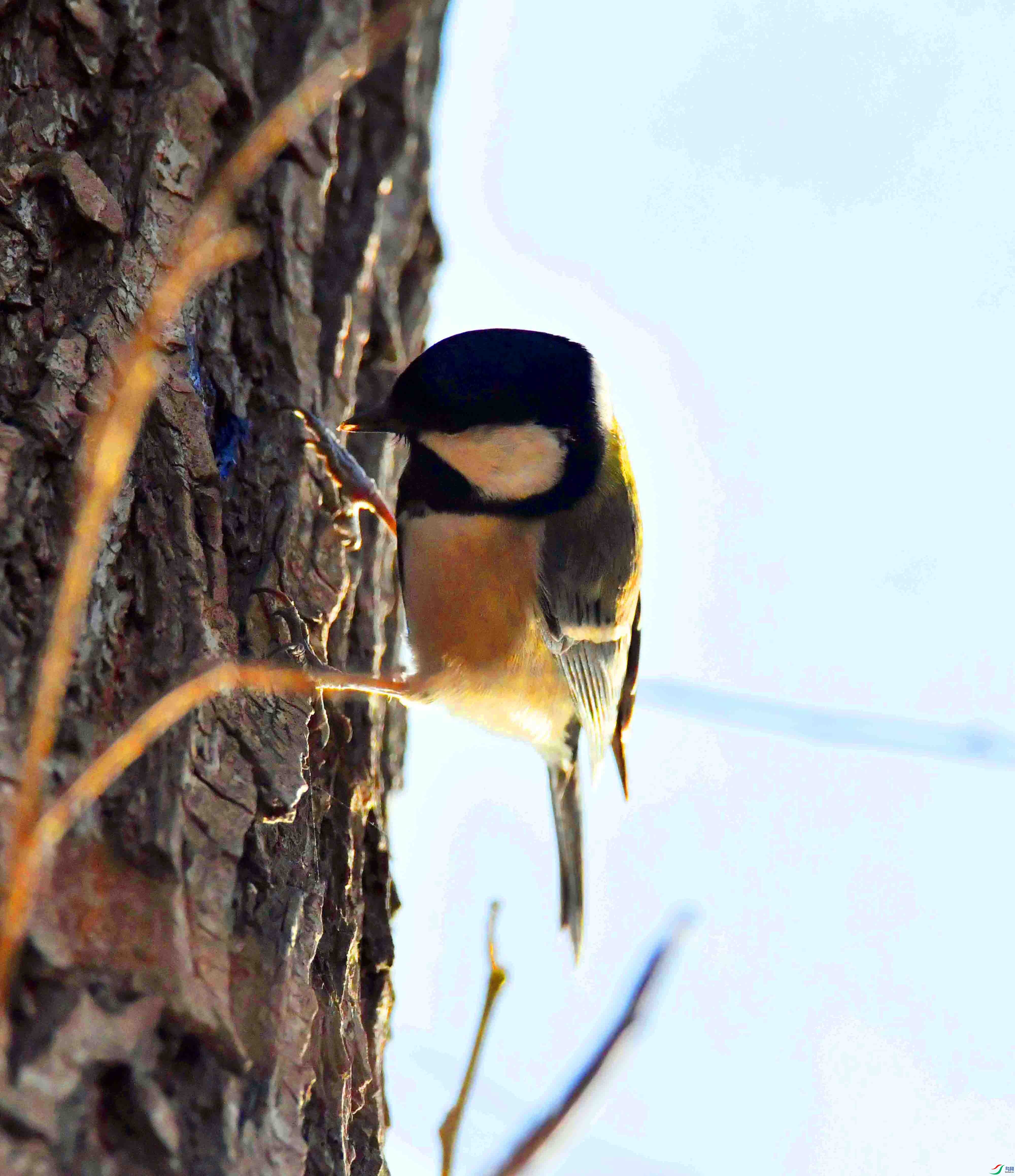 DSC_0122.JPG