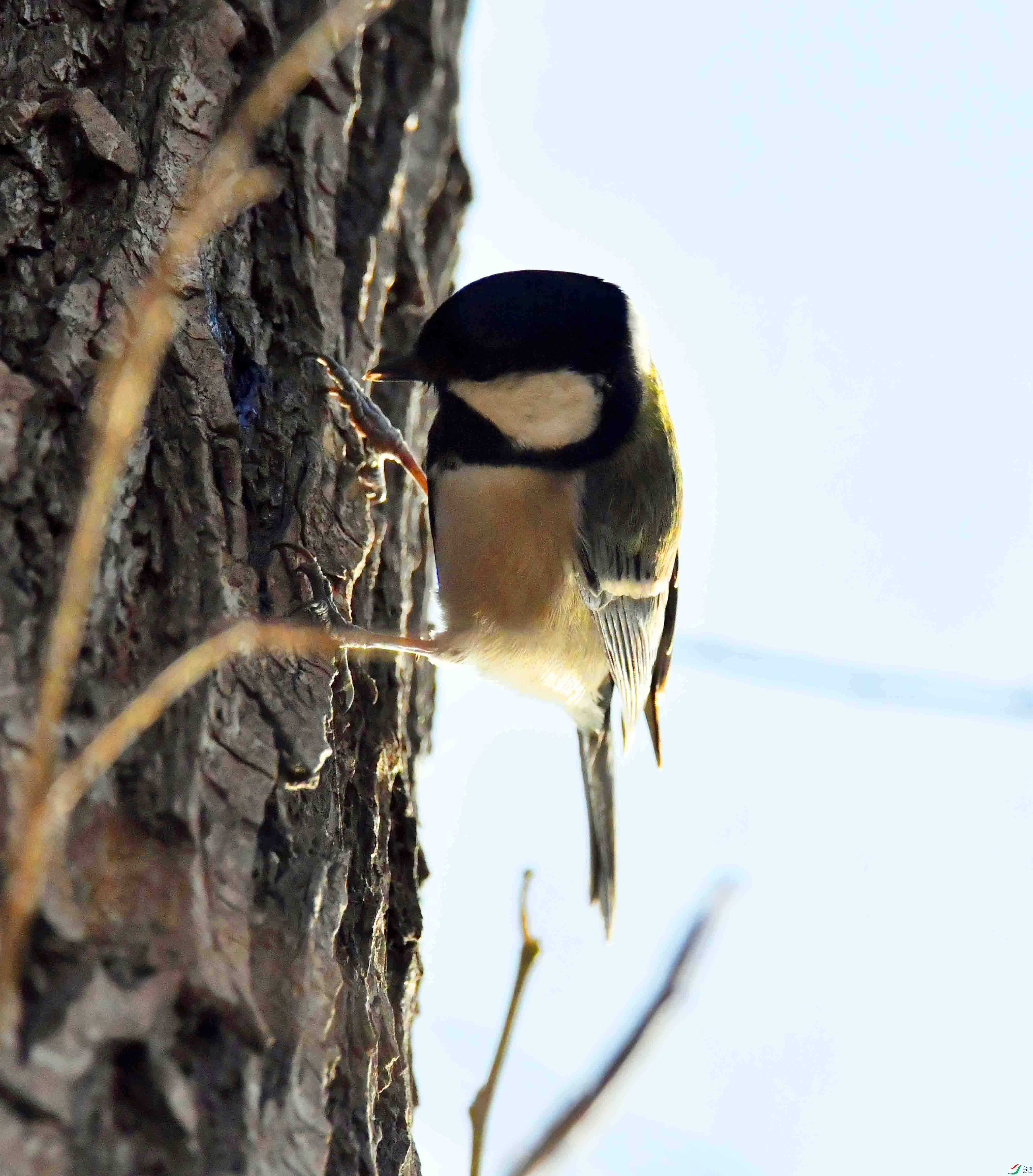 DSC_0121.JPG