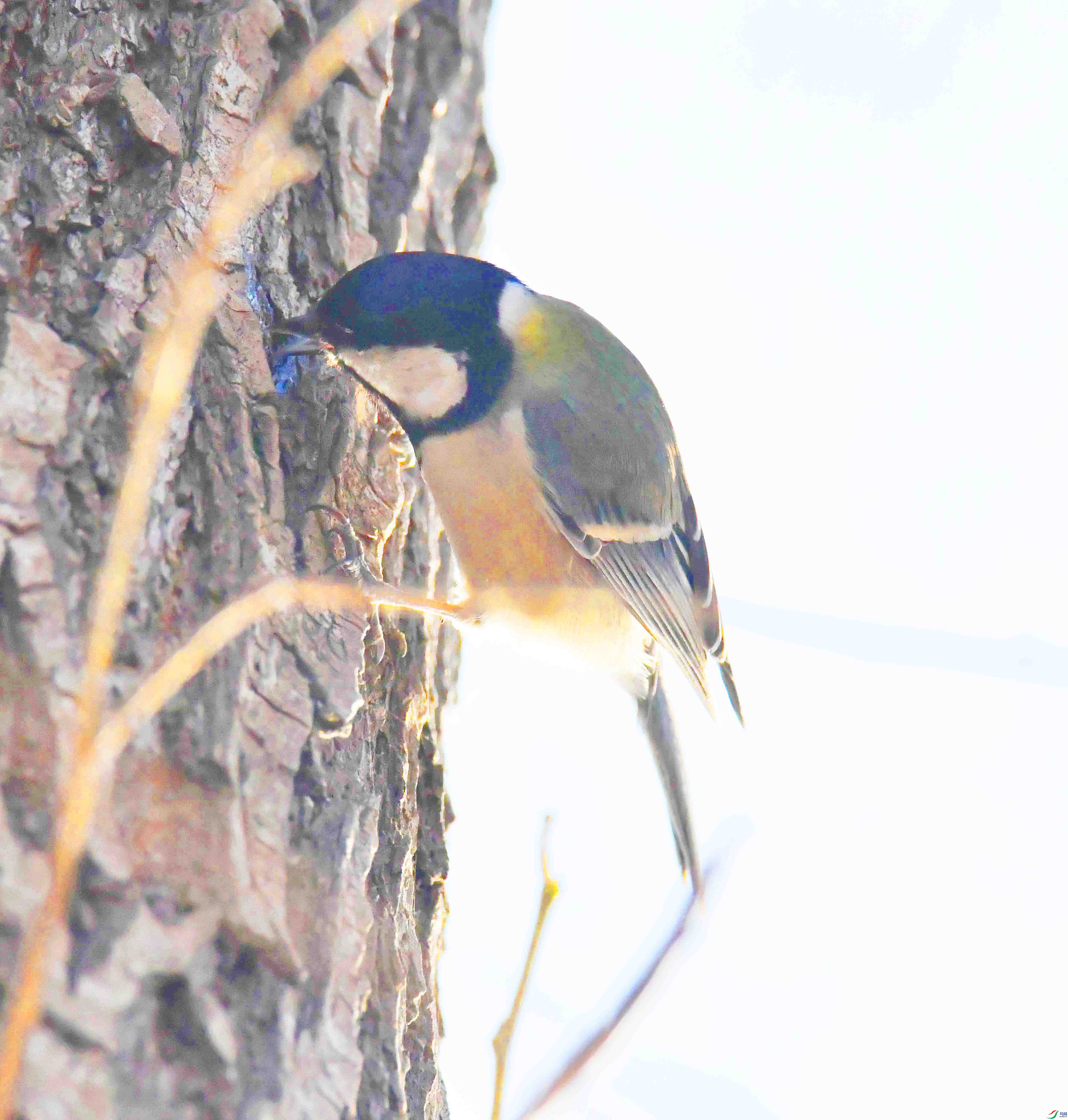 DSC_0123.JPG