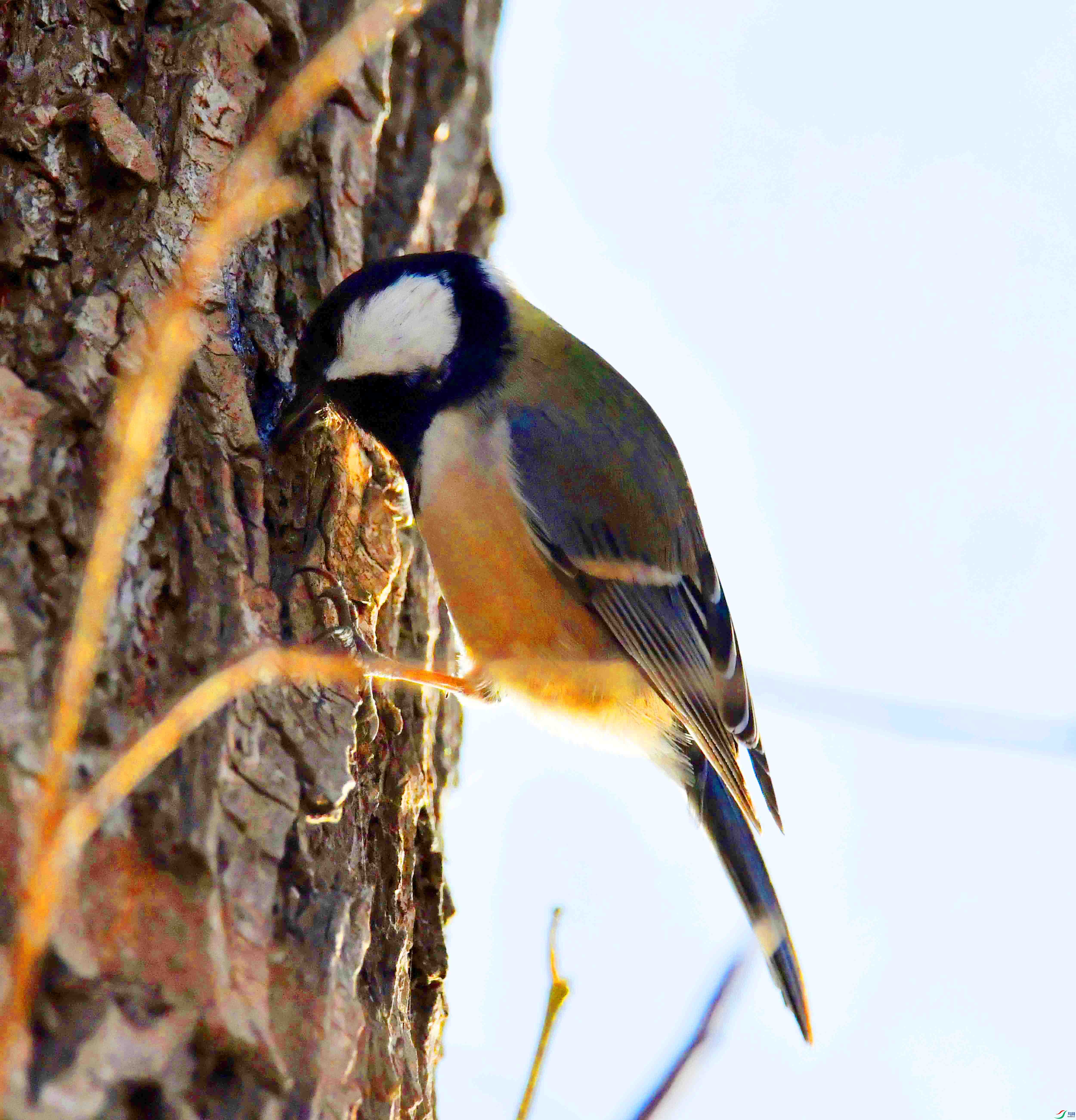 DSC_0124.JPG