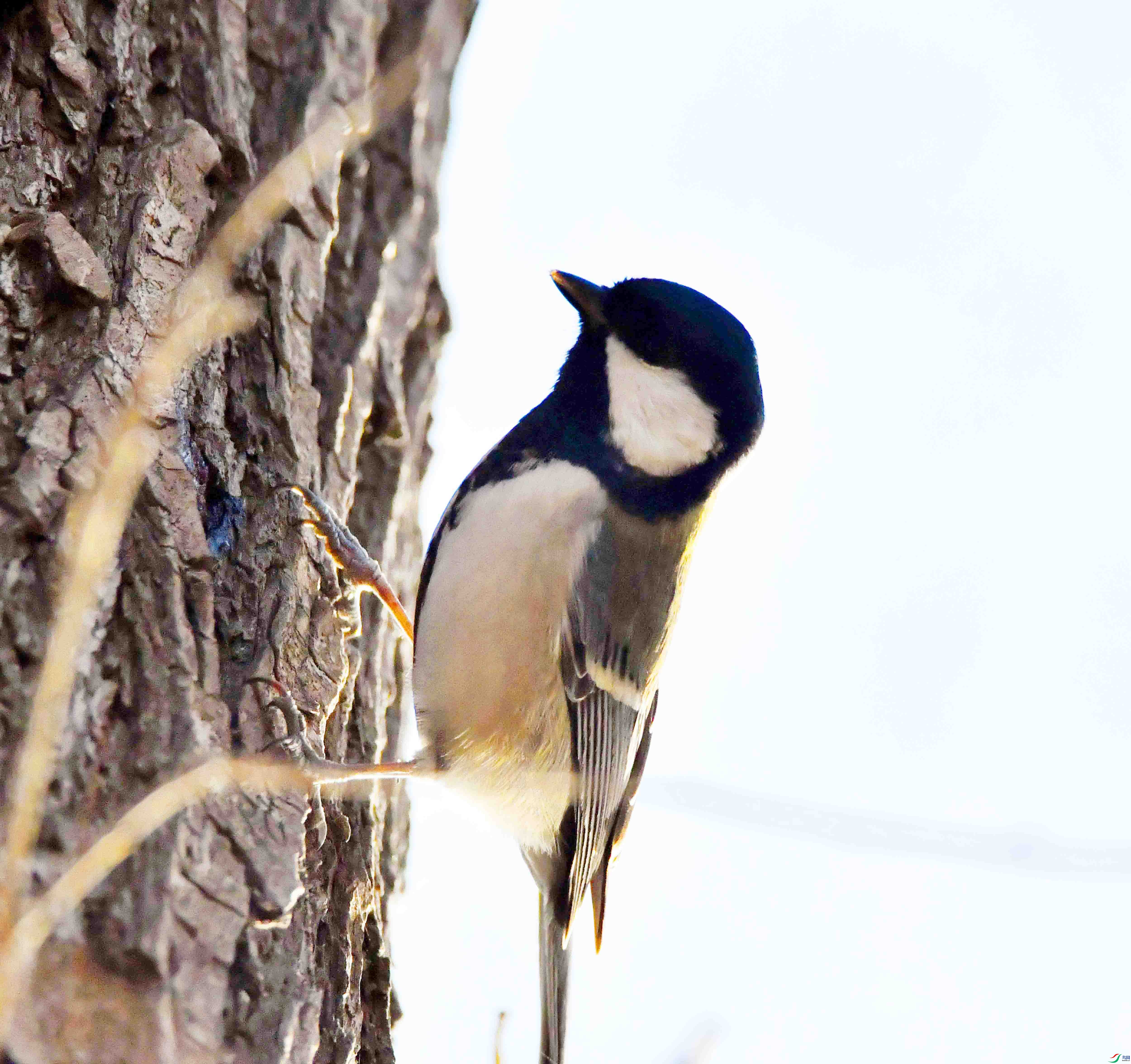 DSC_0127.JPG