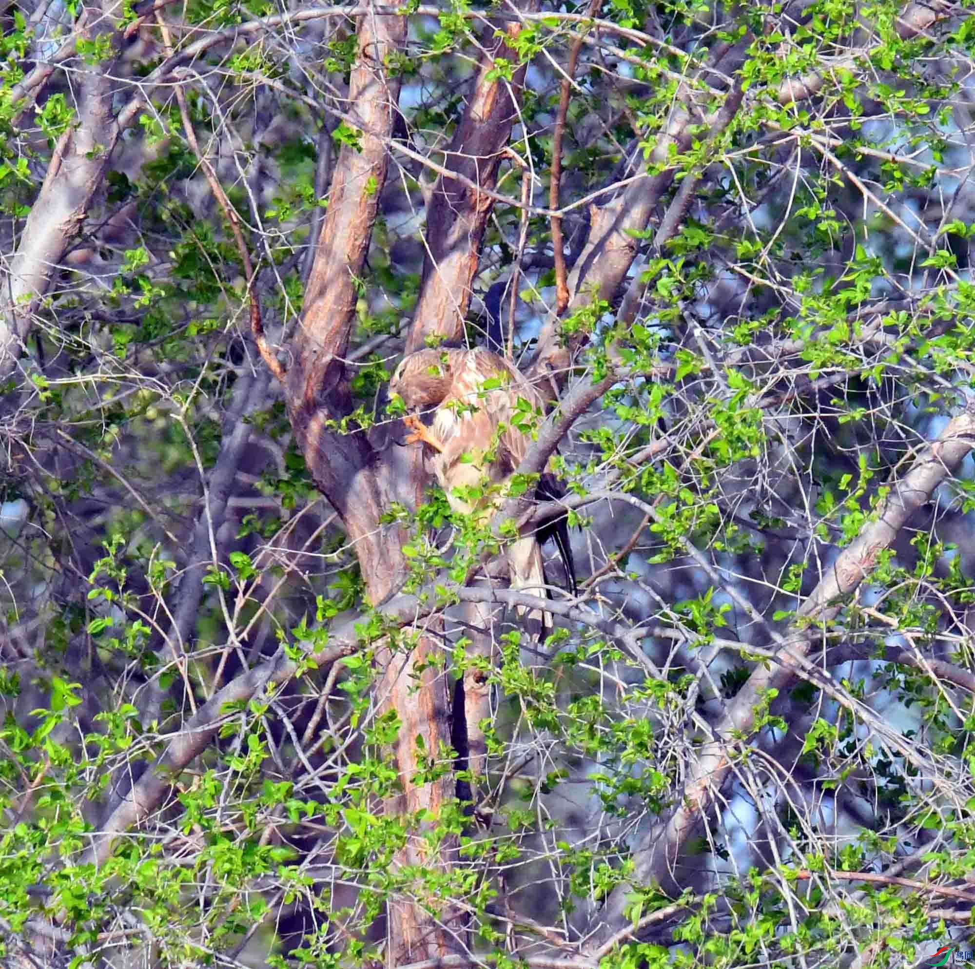 DSC_2430.JPG