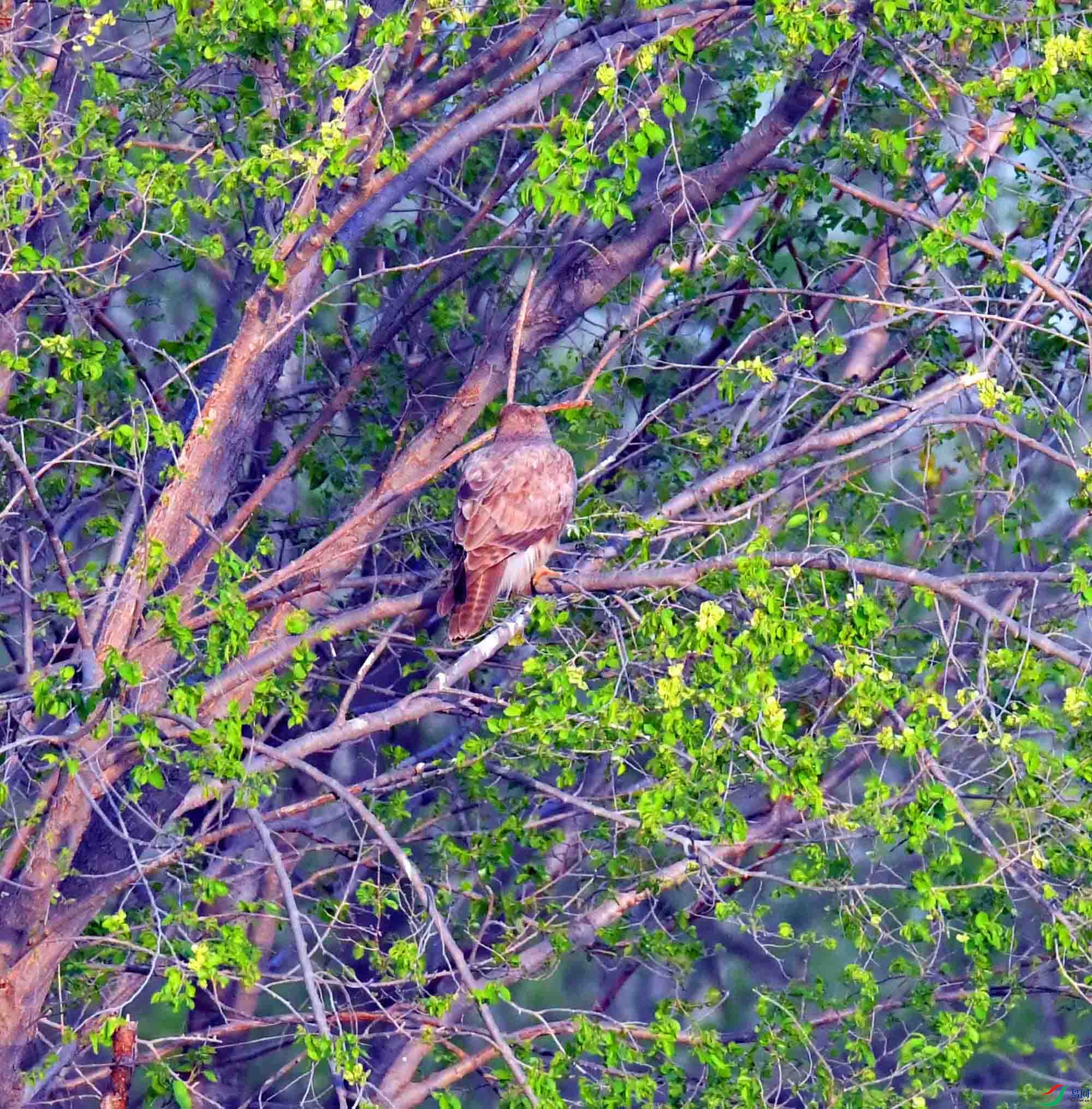 DSC_2505.JPG