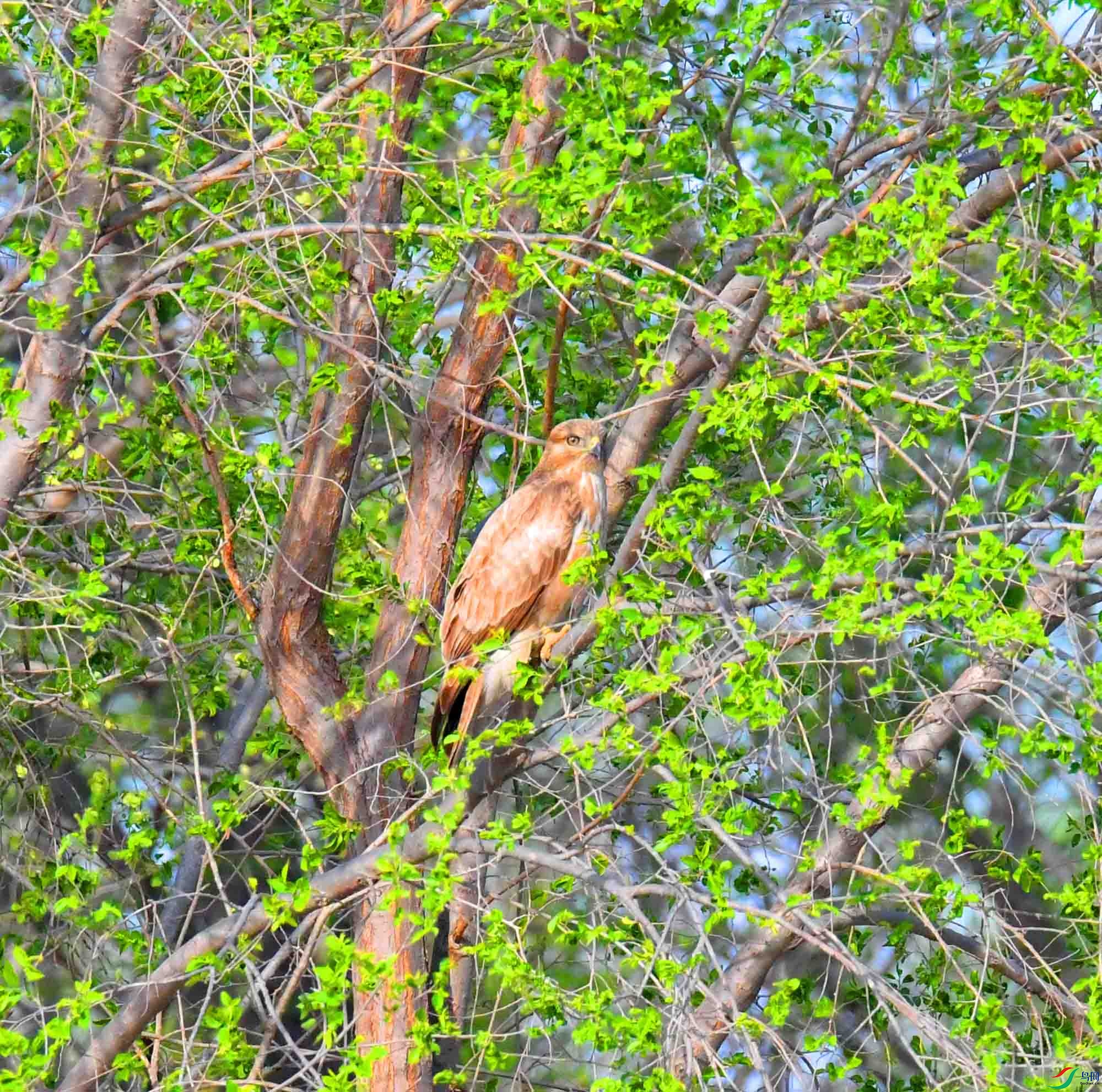 DSC_2483.JPG