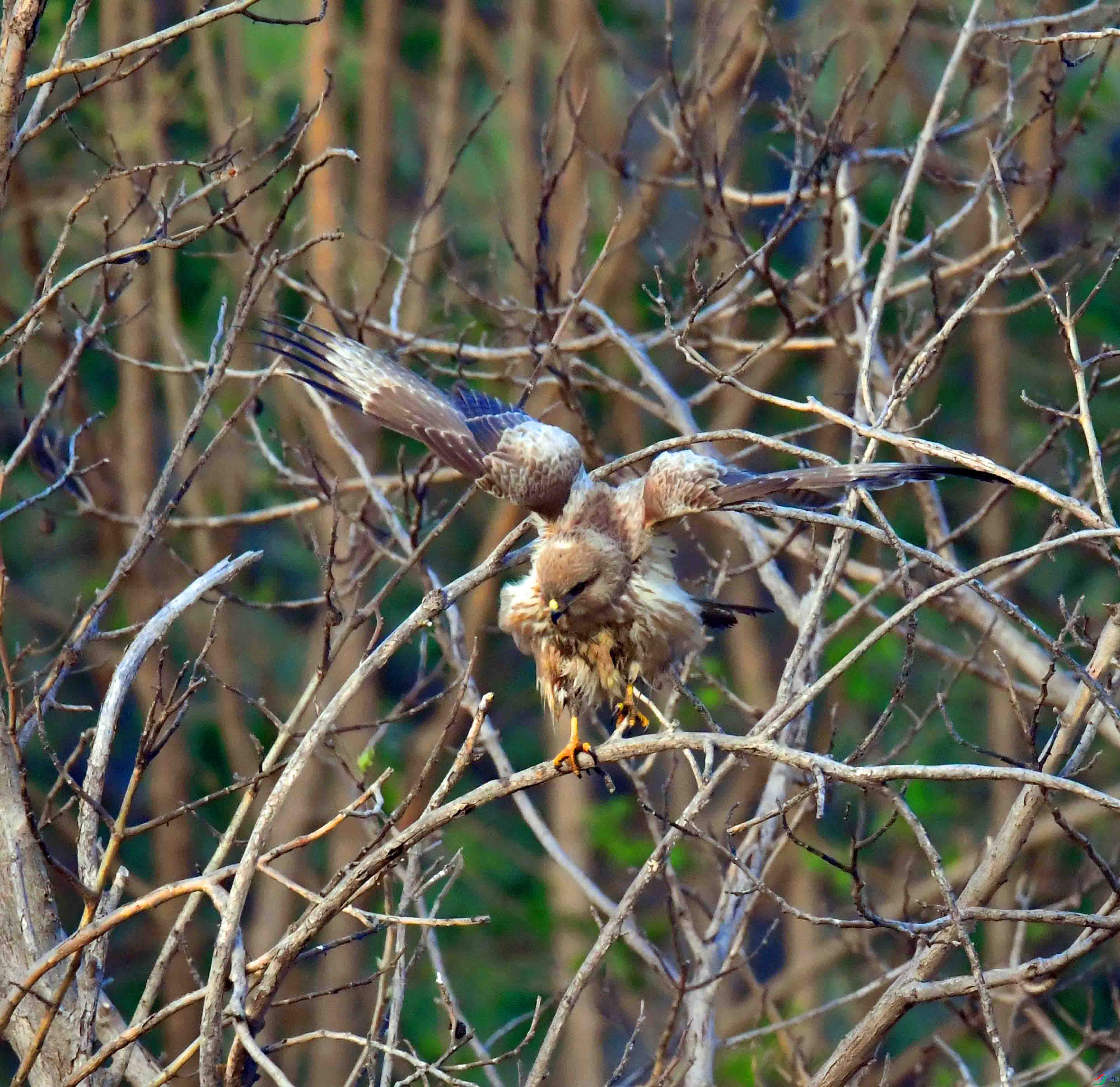 DSC_2656.JPG
