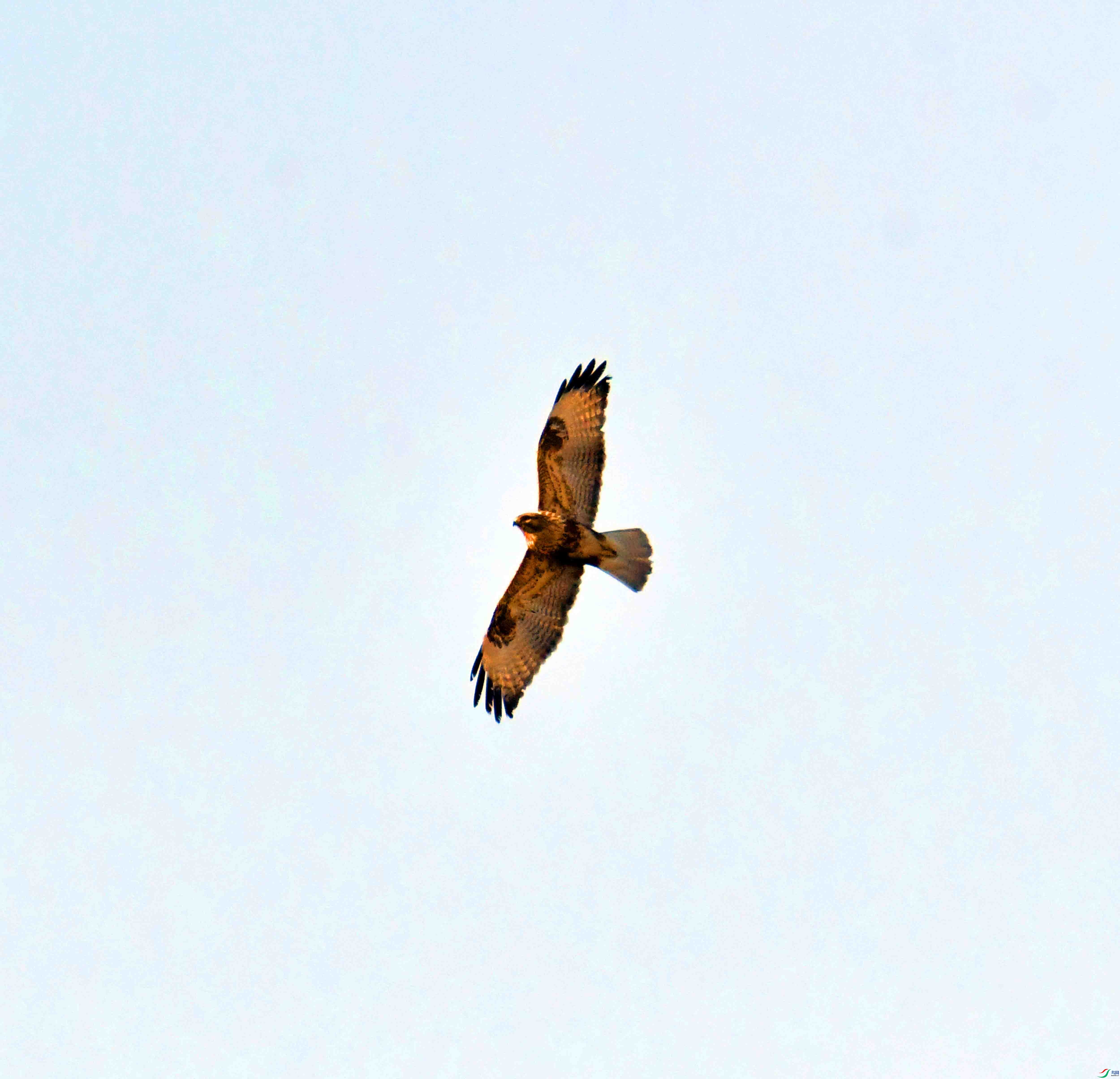 DSC_6060.JPG