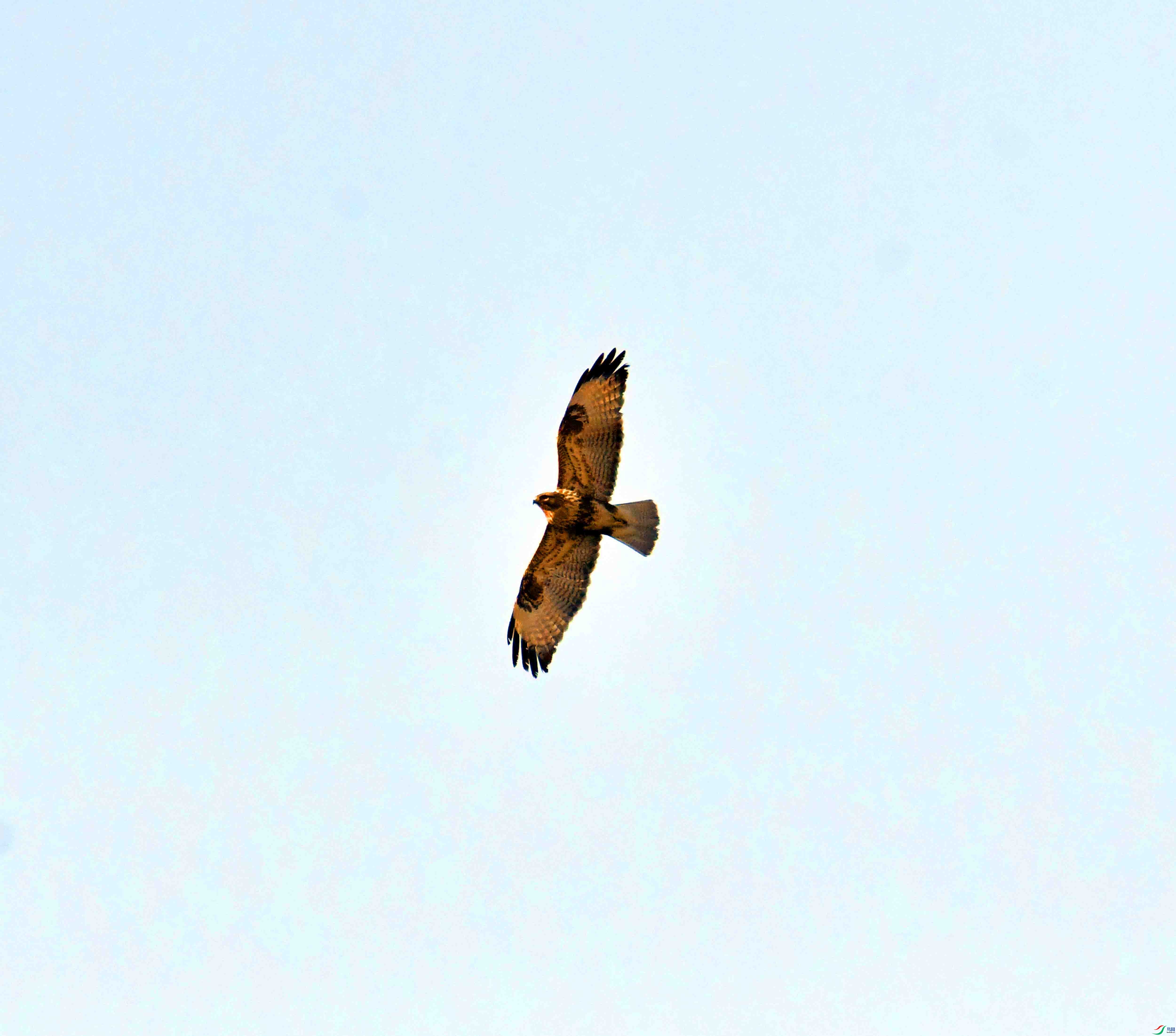 DSC_6061.JPG