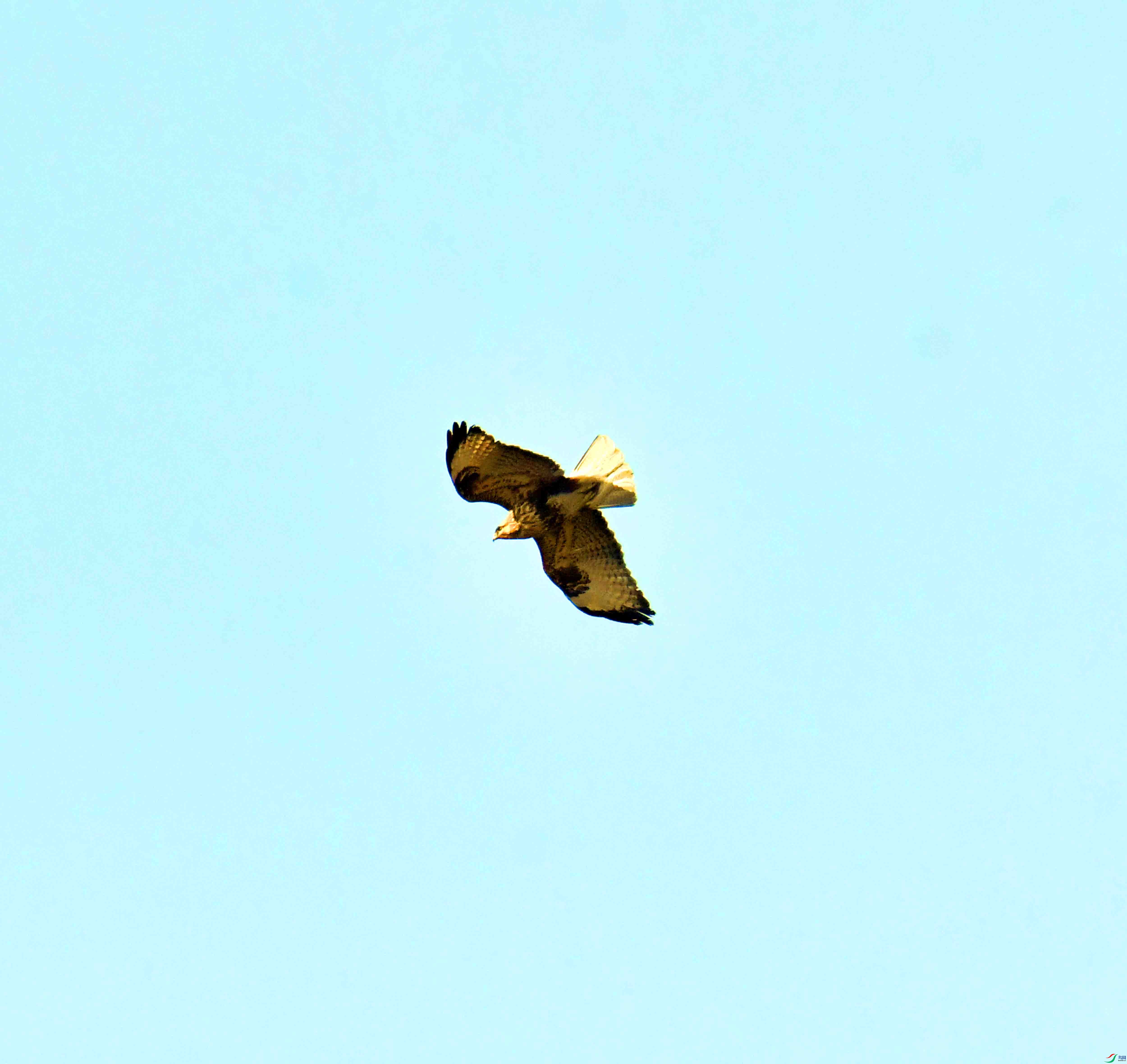 DSC_6062.JPG
