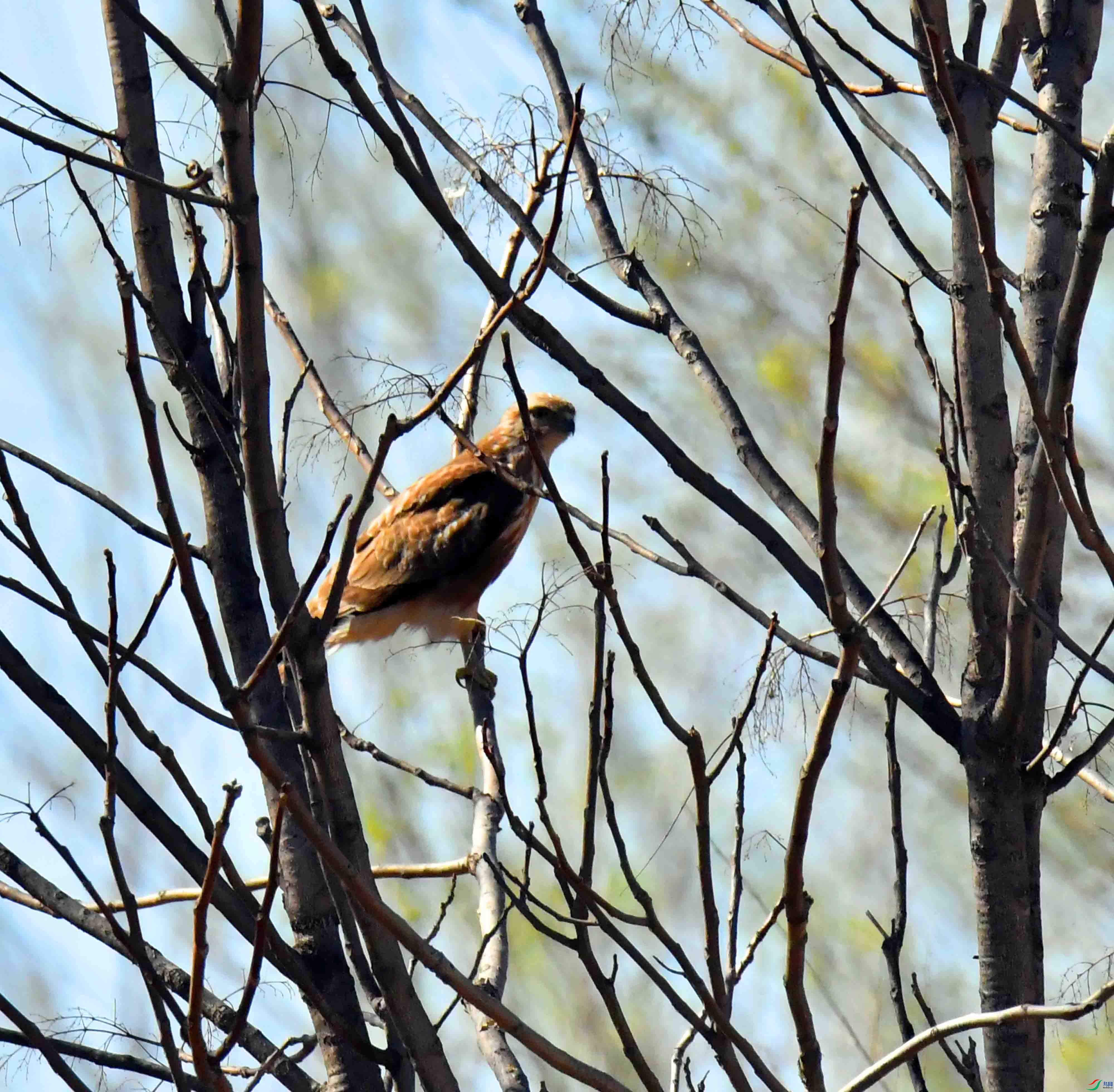 DSC_6281.JPG