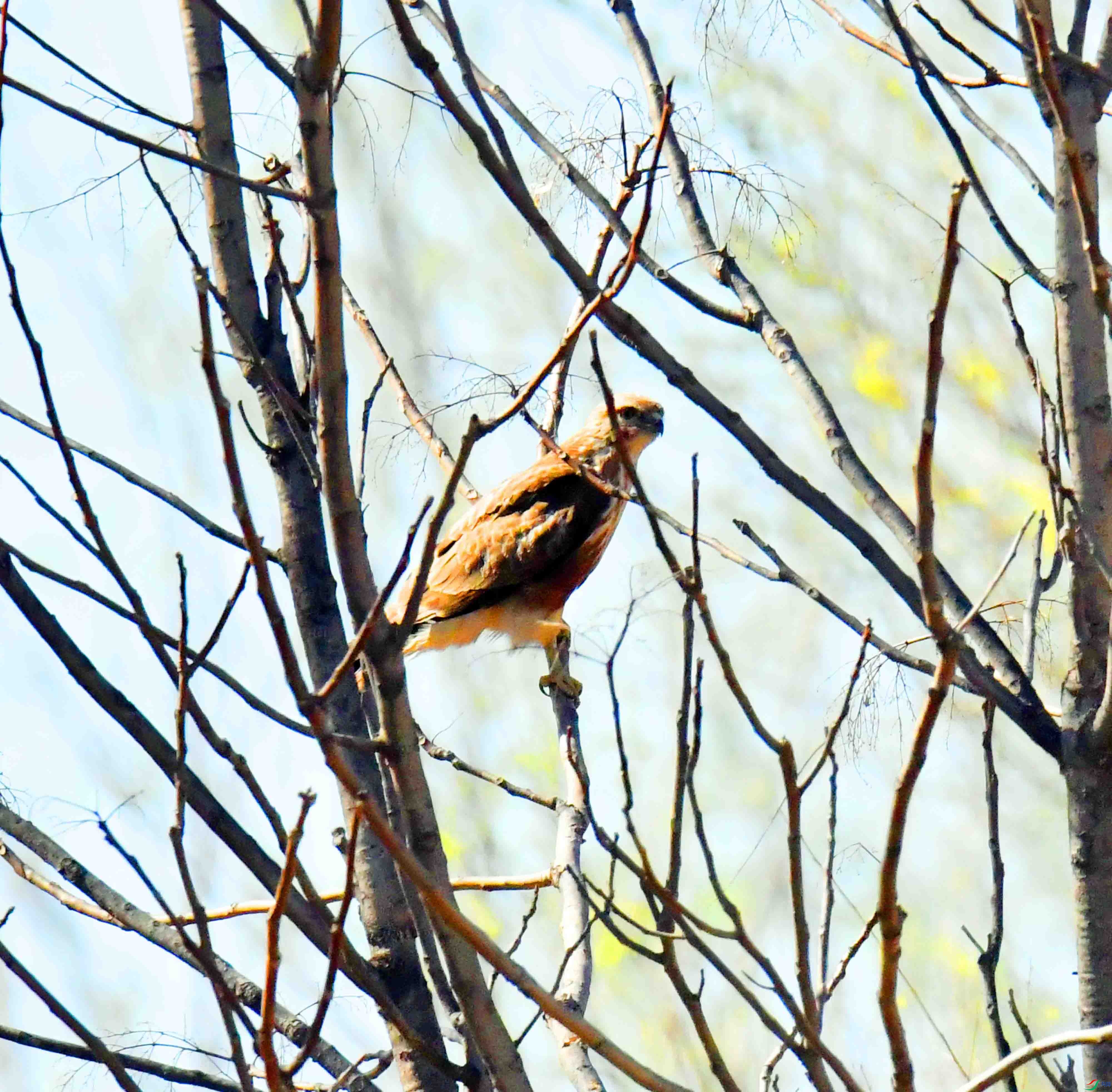 DSC_6282.JPG
