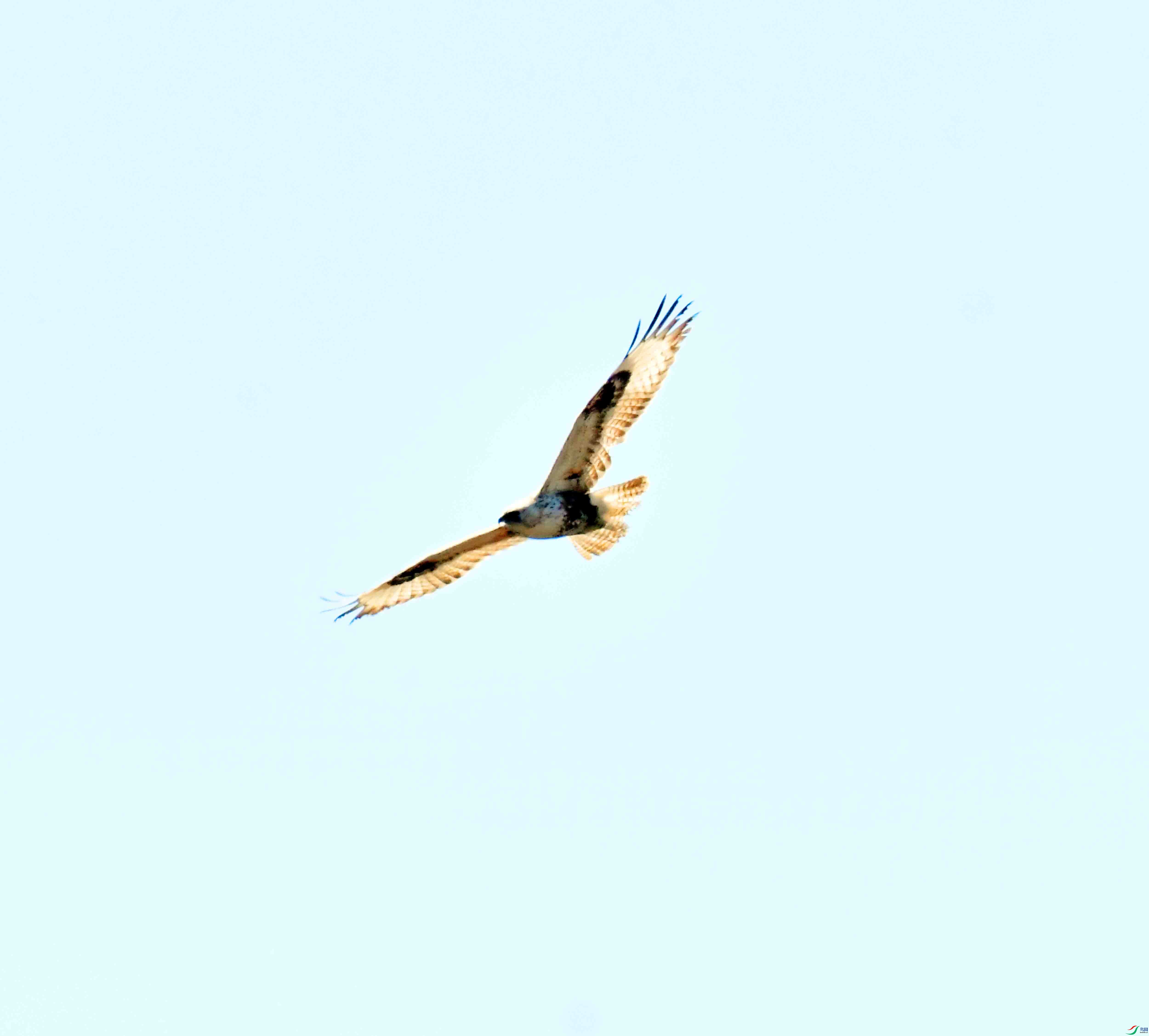 DSC_6410.JPG