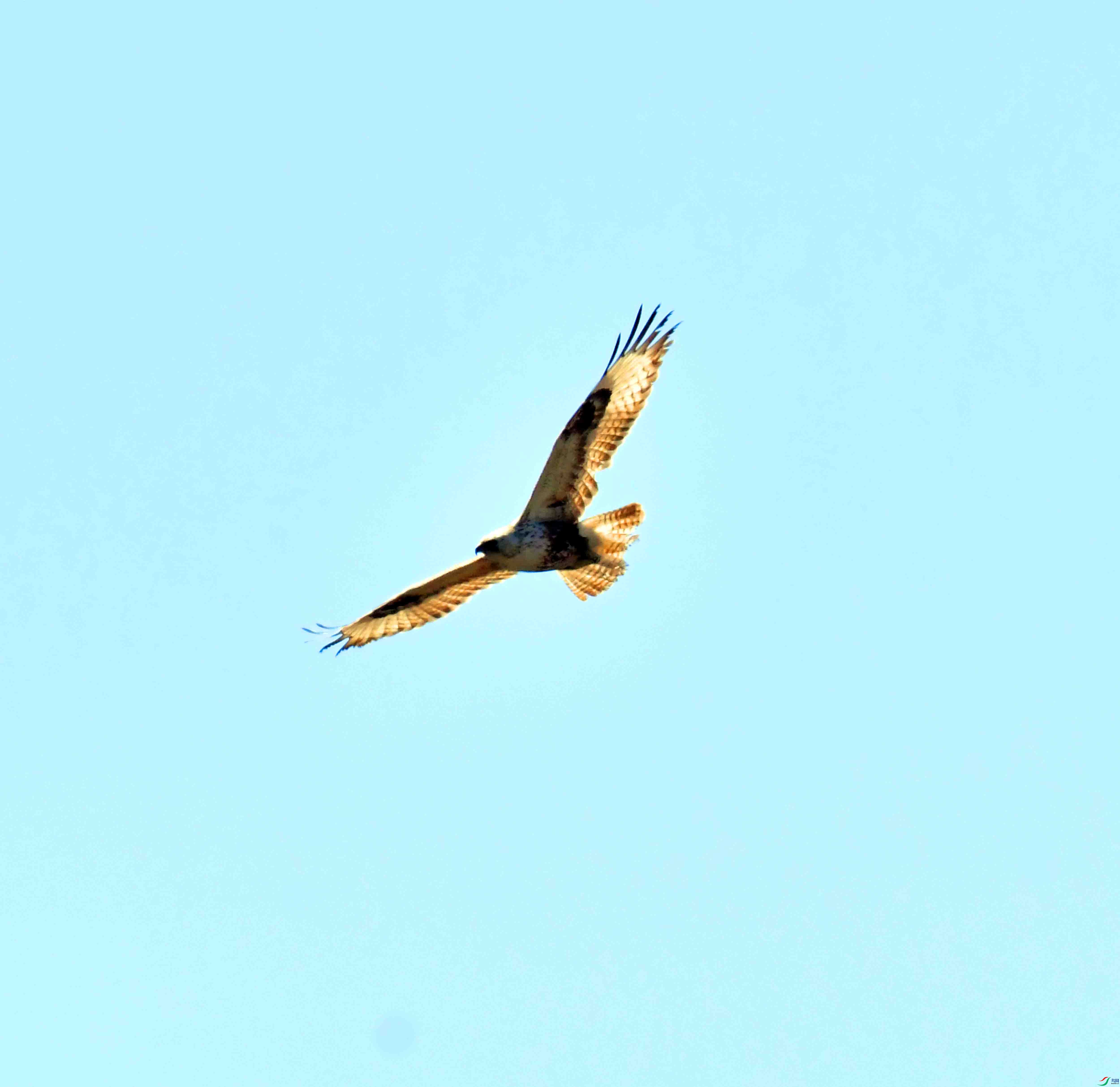 DSC_6411.JPG