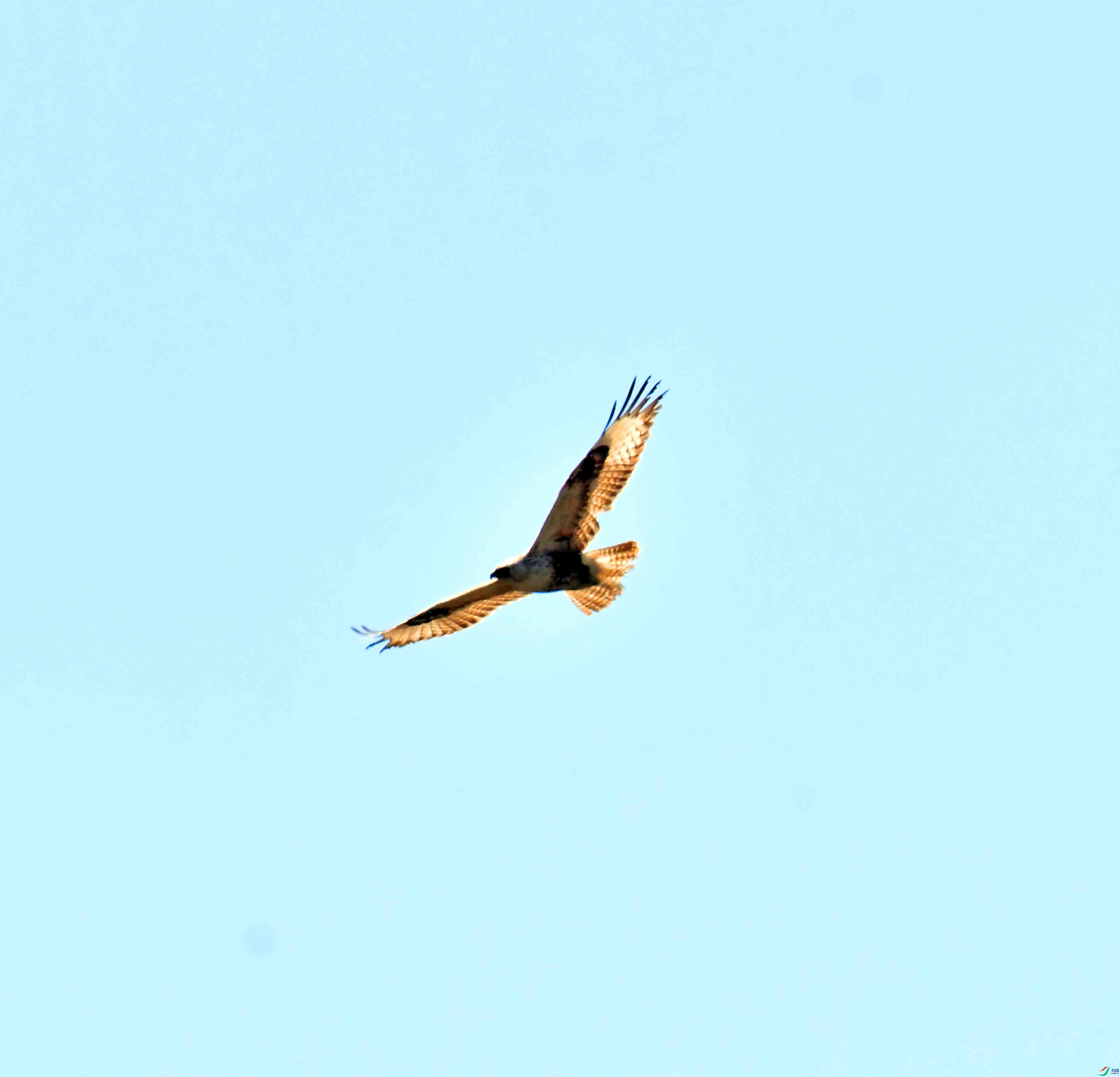 DSC_6412.JPG