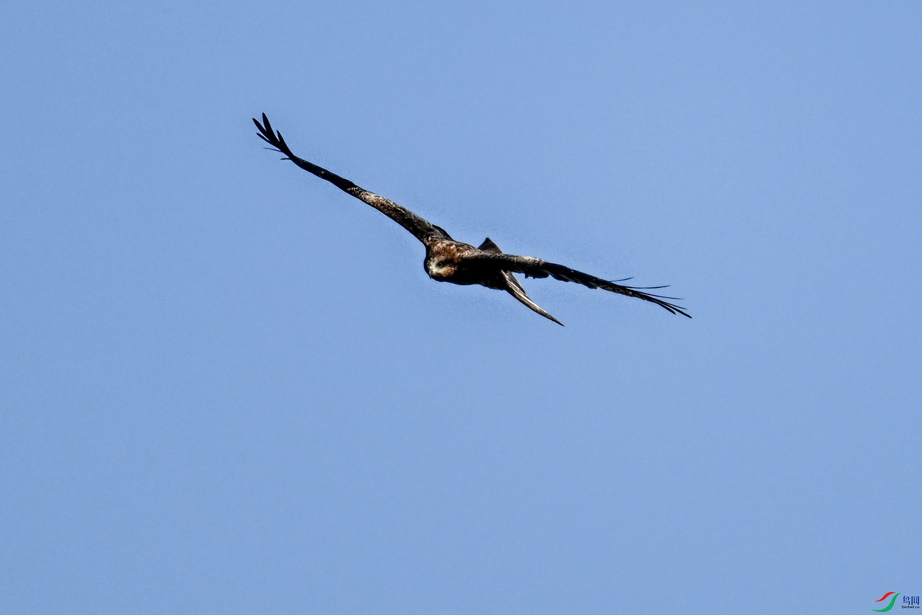 DSC_8515.JPG