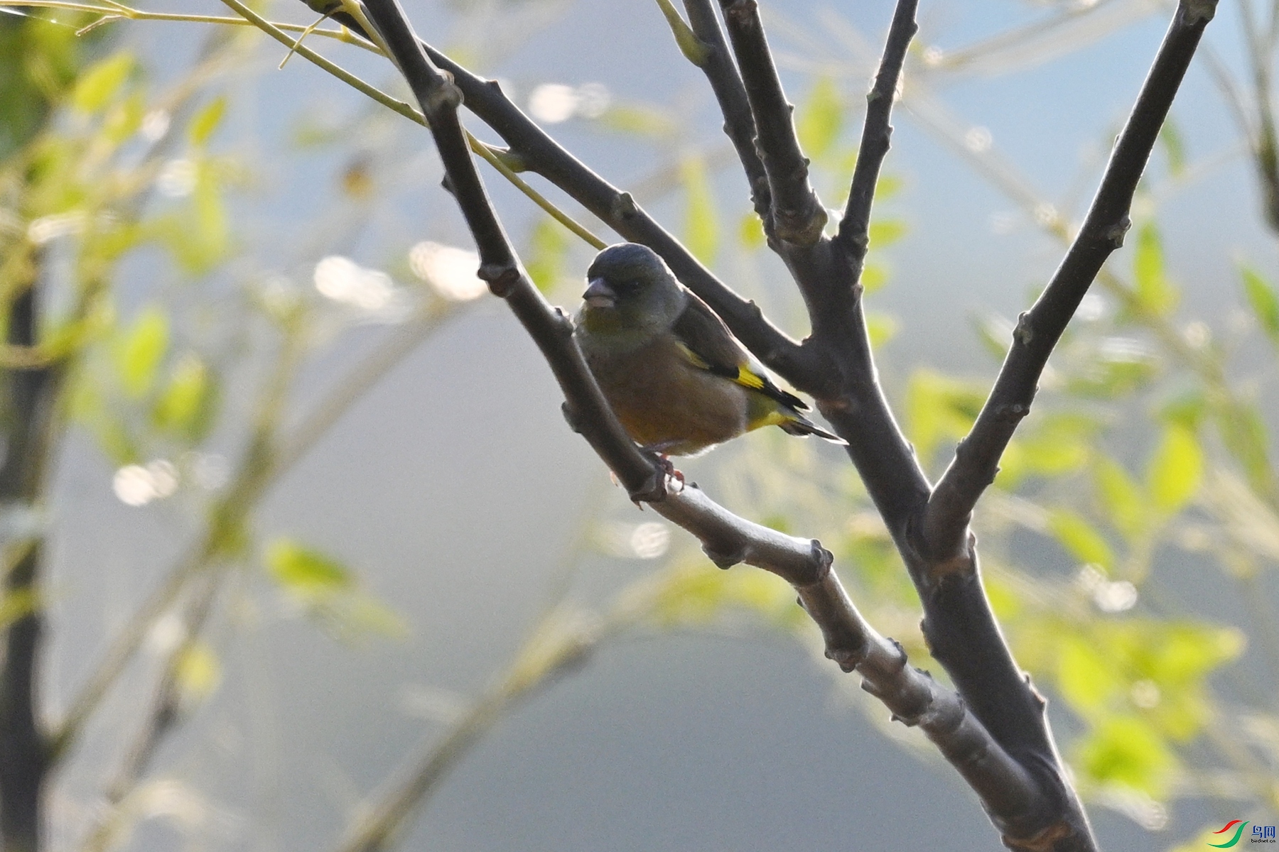 DSC_8719.JPG