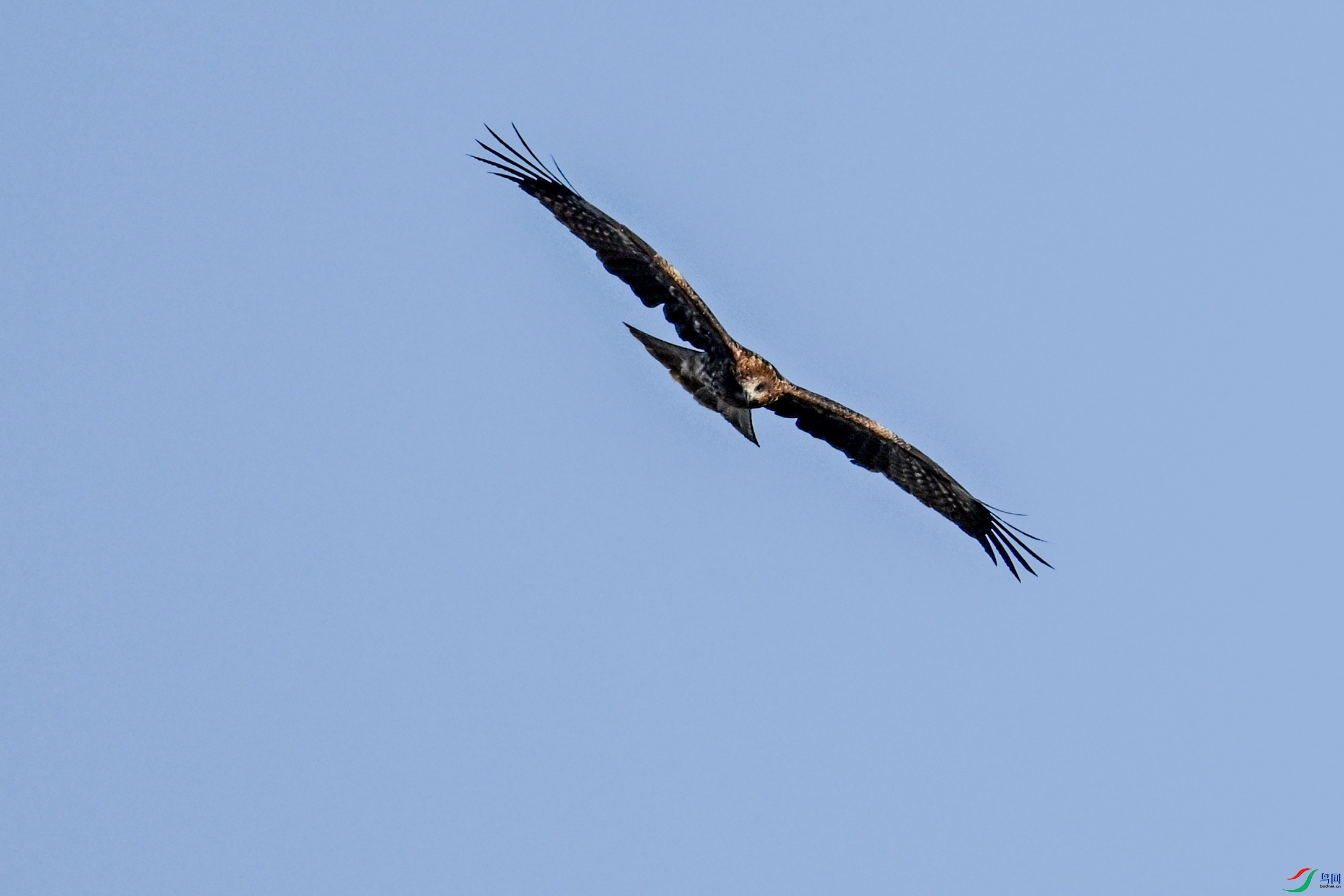 DSC_8505.JPG