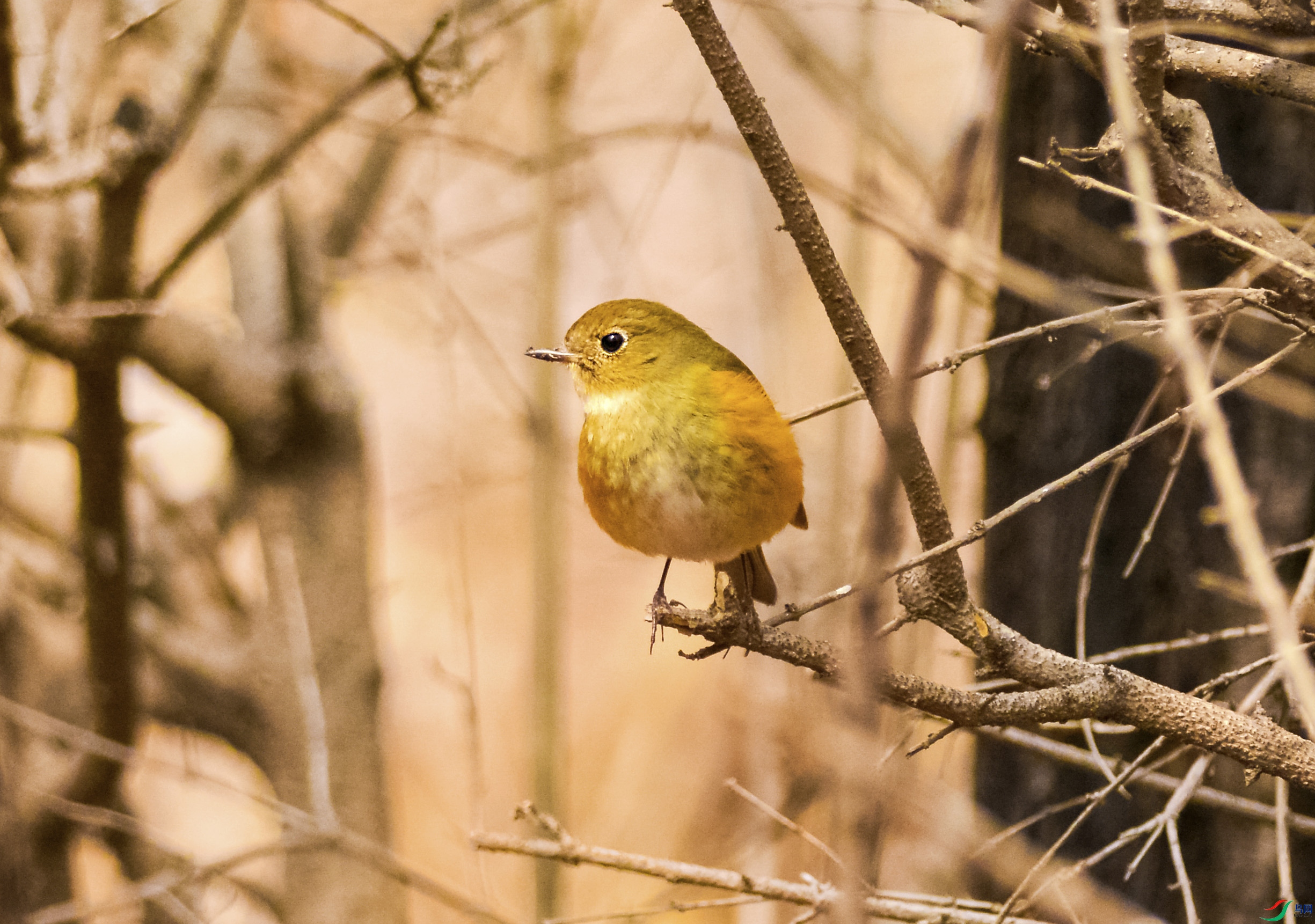 DSC_1479.jpg