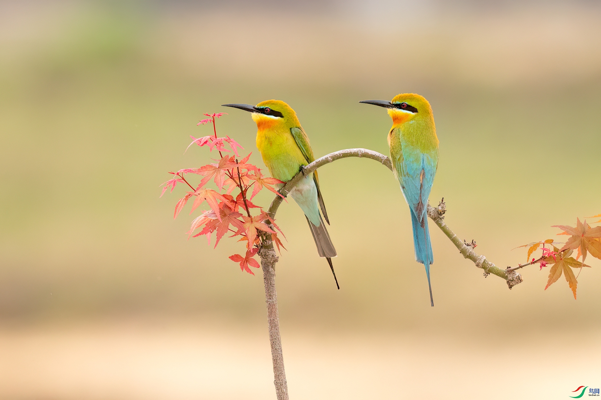 B86I1800 _����.jpg