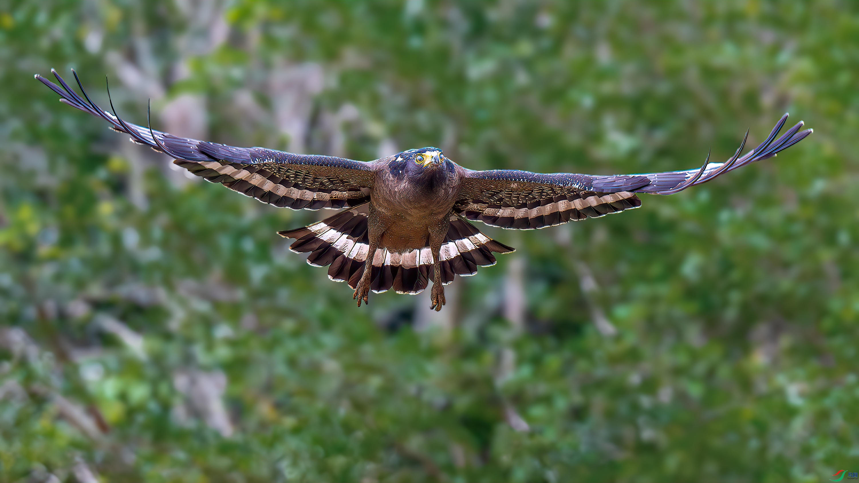 DSC_7479-����ǿ-NR.jpg