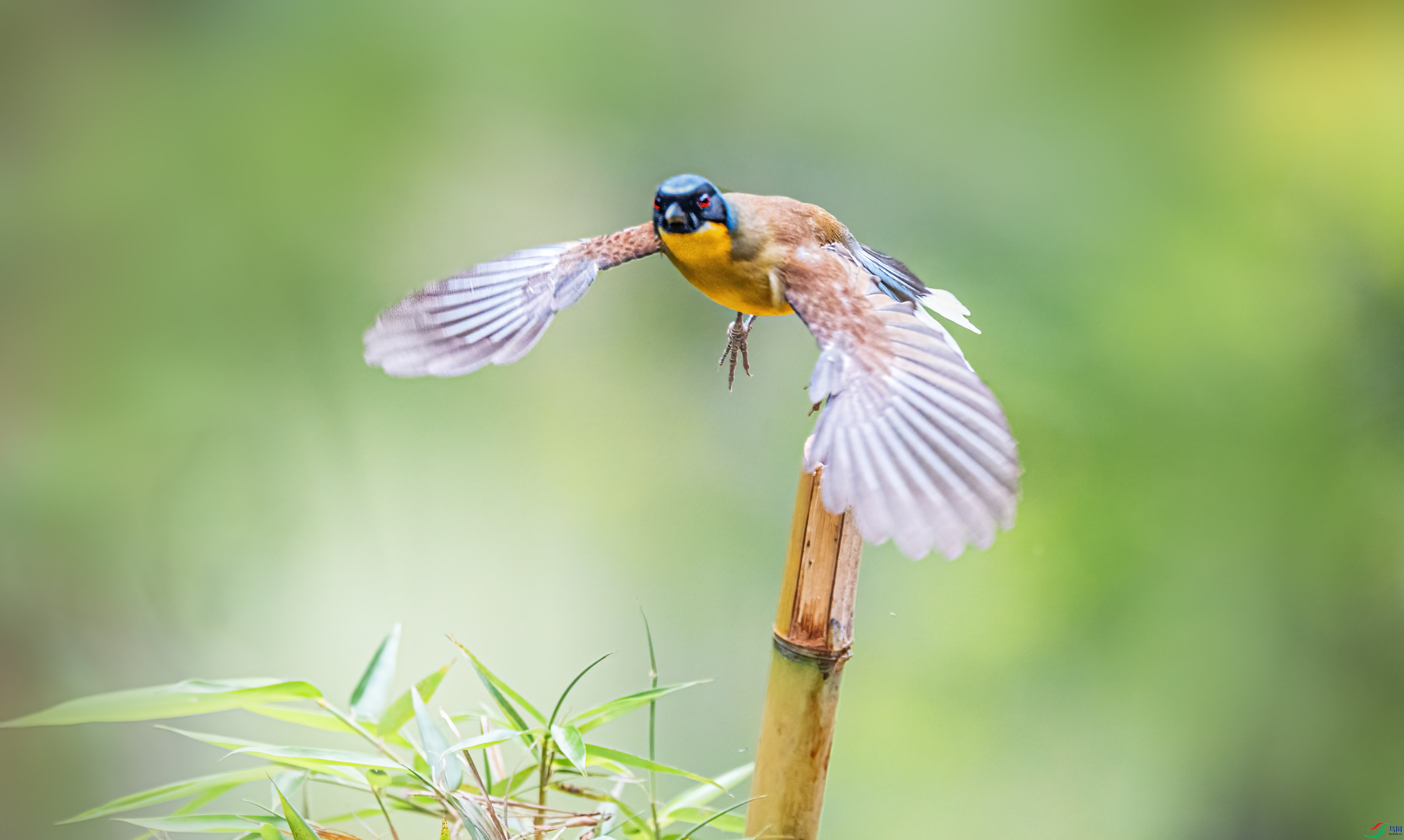 DSC01989-��.jpg