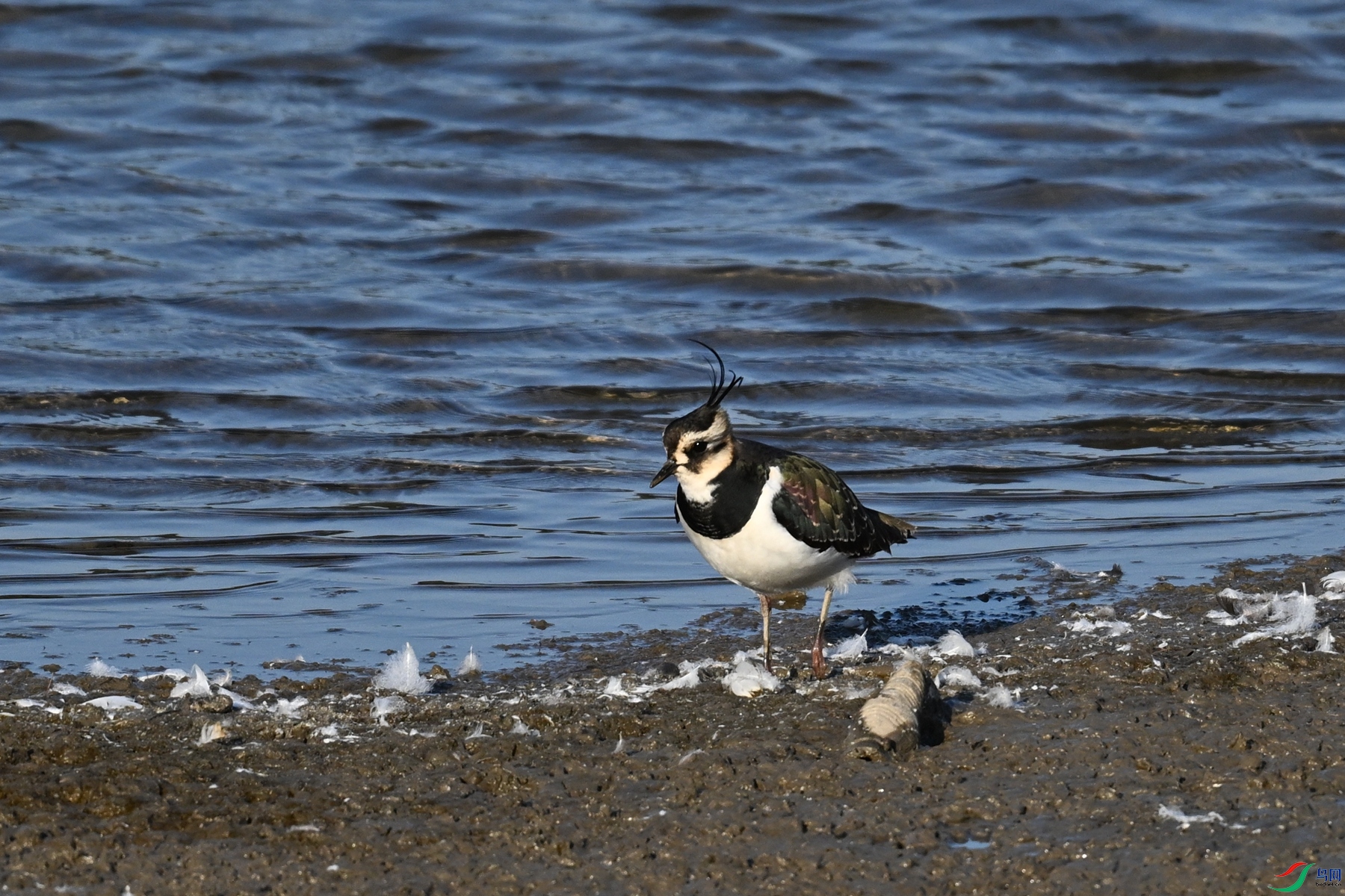DSC_8689.JPG