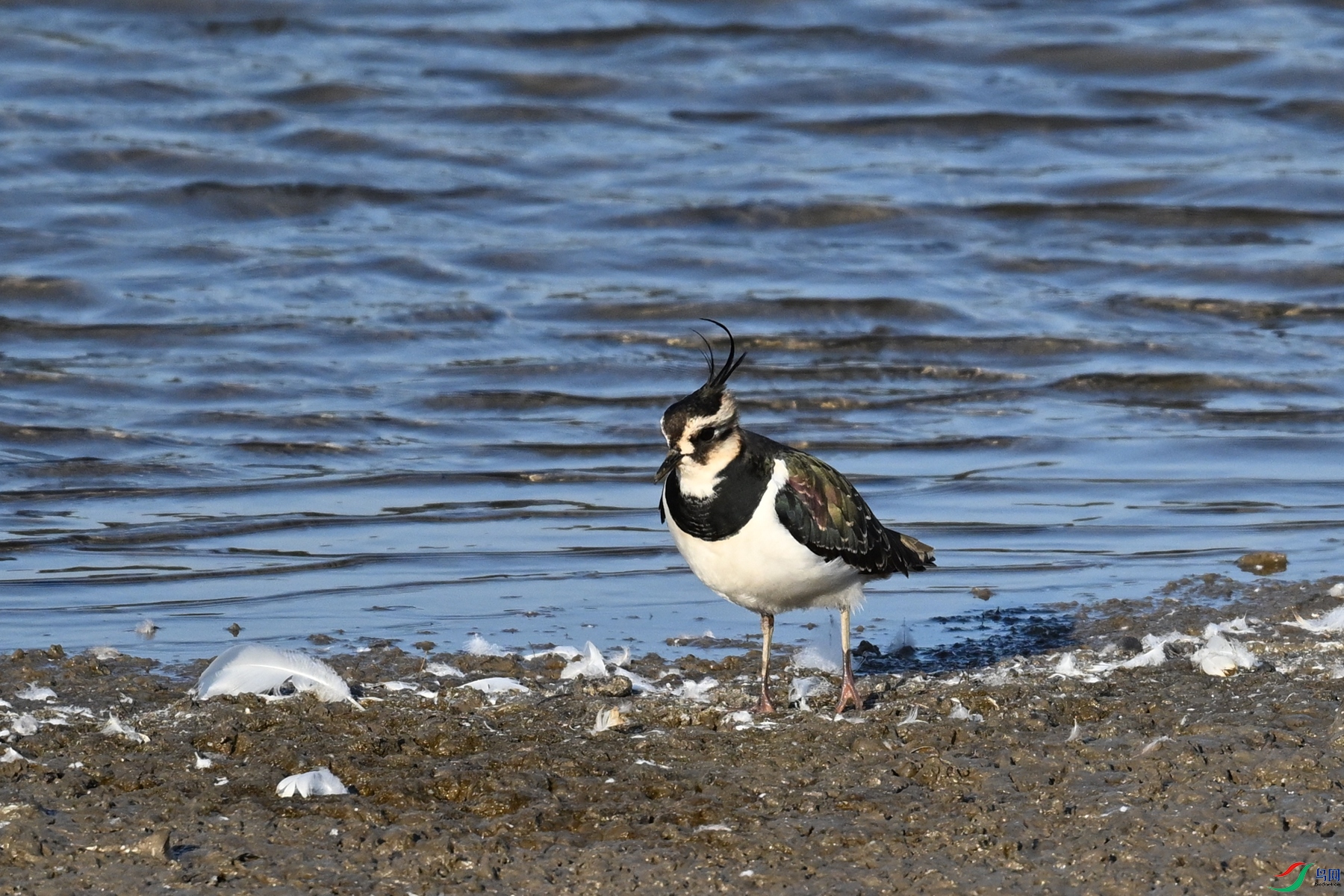 DSC_8694.JPG