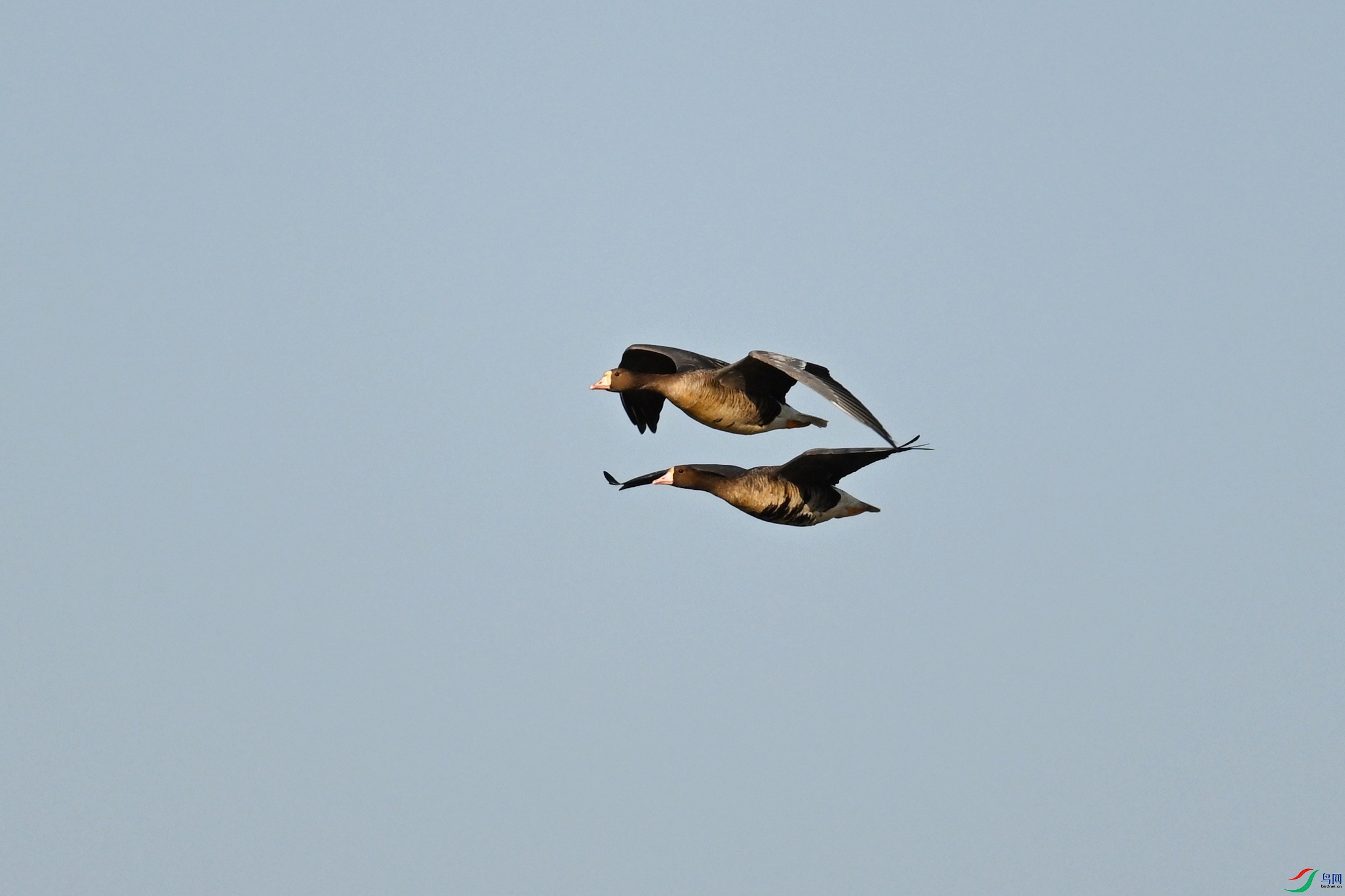 DSC_8447.JPG
