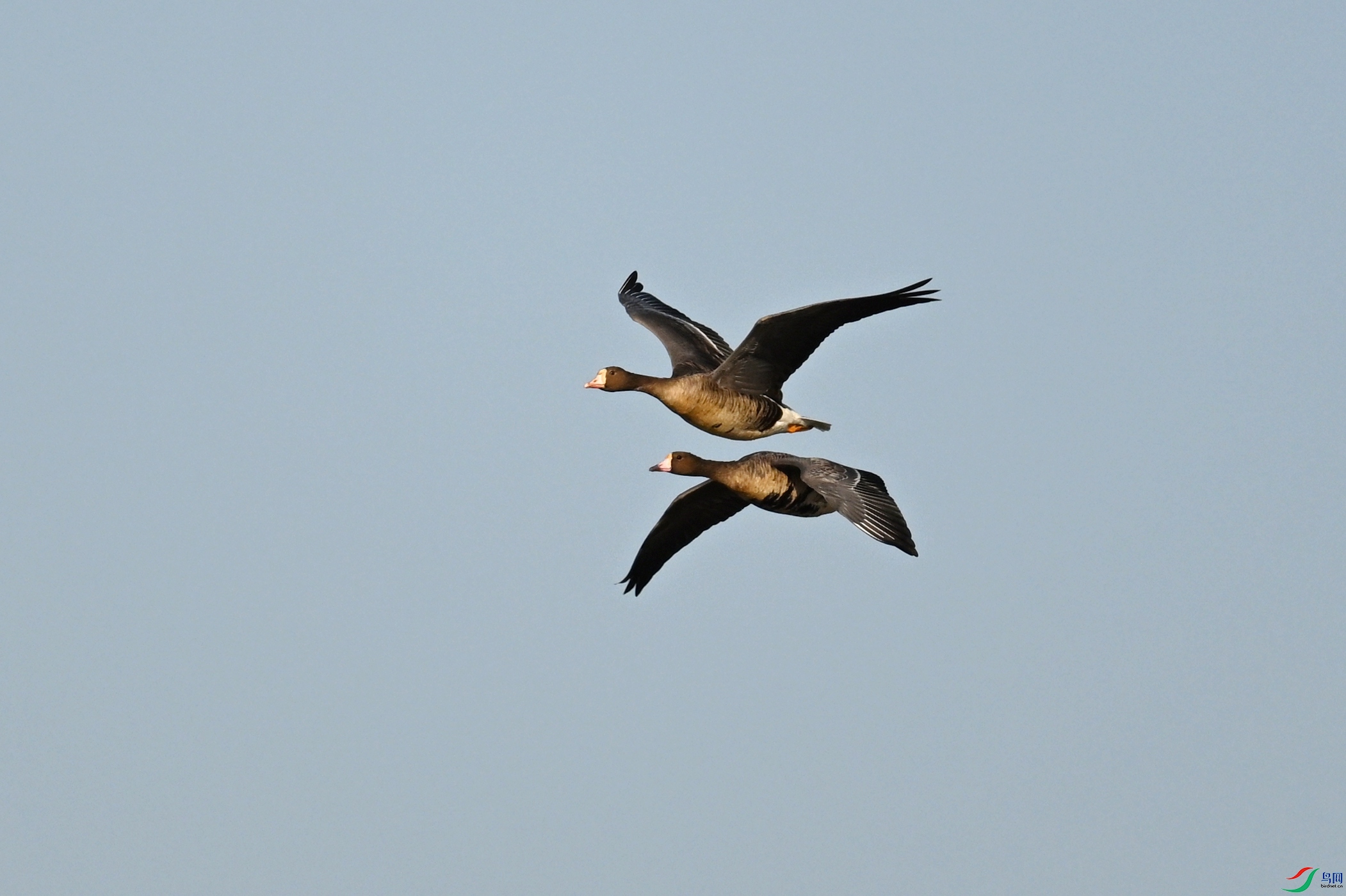 DSC_8448.JPG