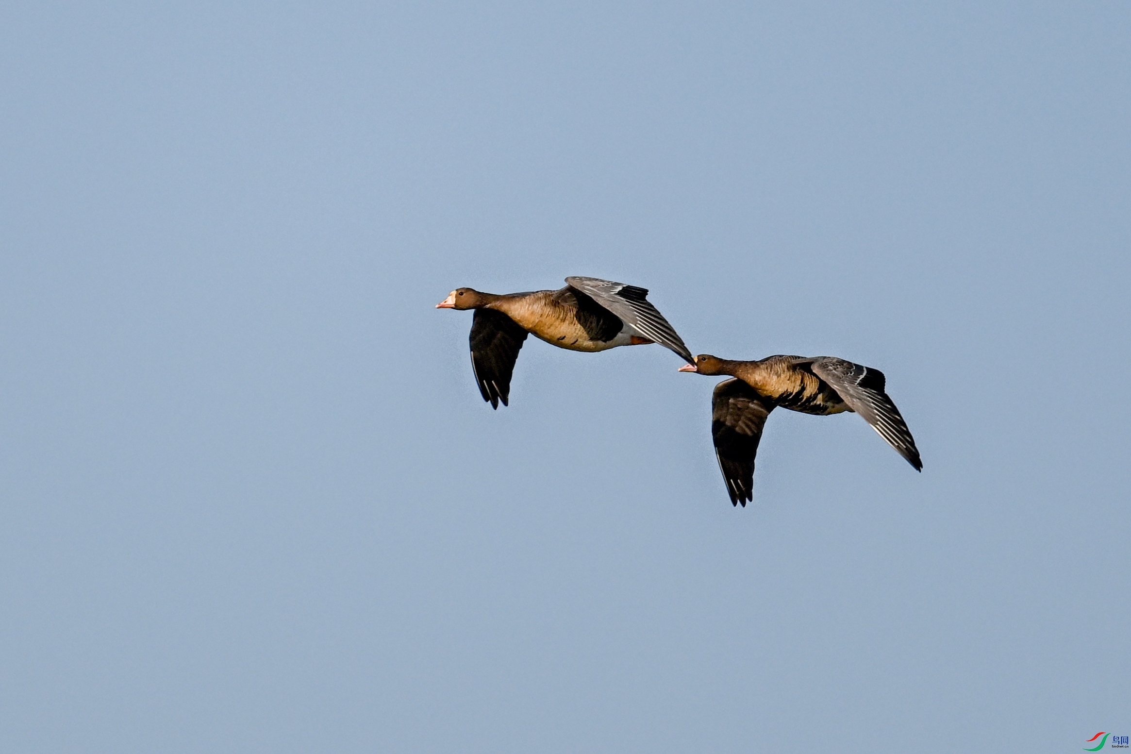 DSC_8110.JPG