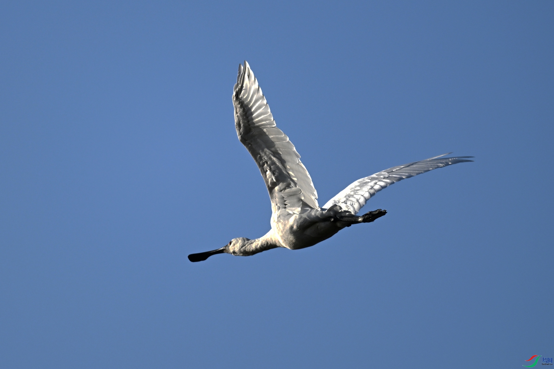 DSC_8731.JPG