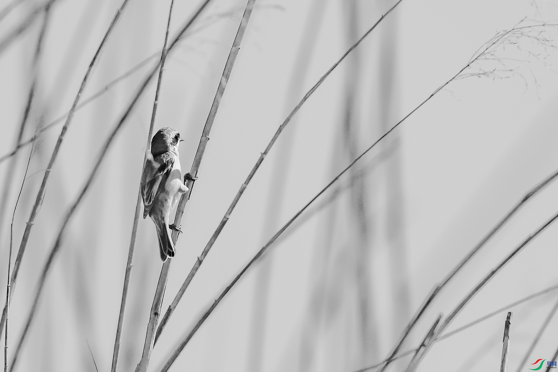 0502έ�԰���.jpg