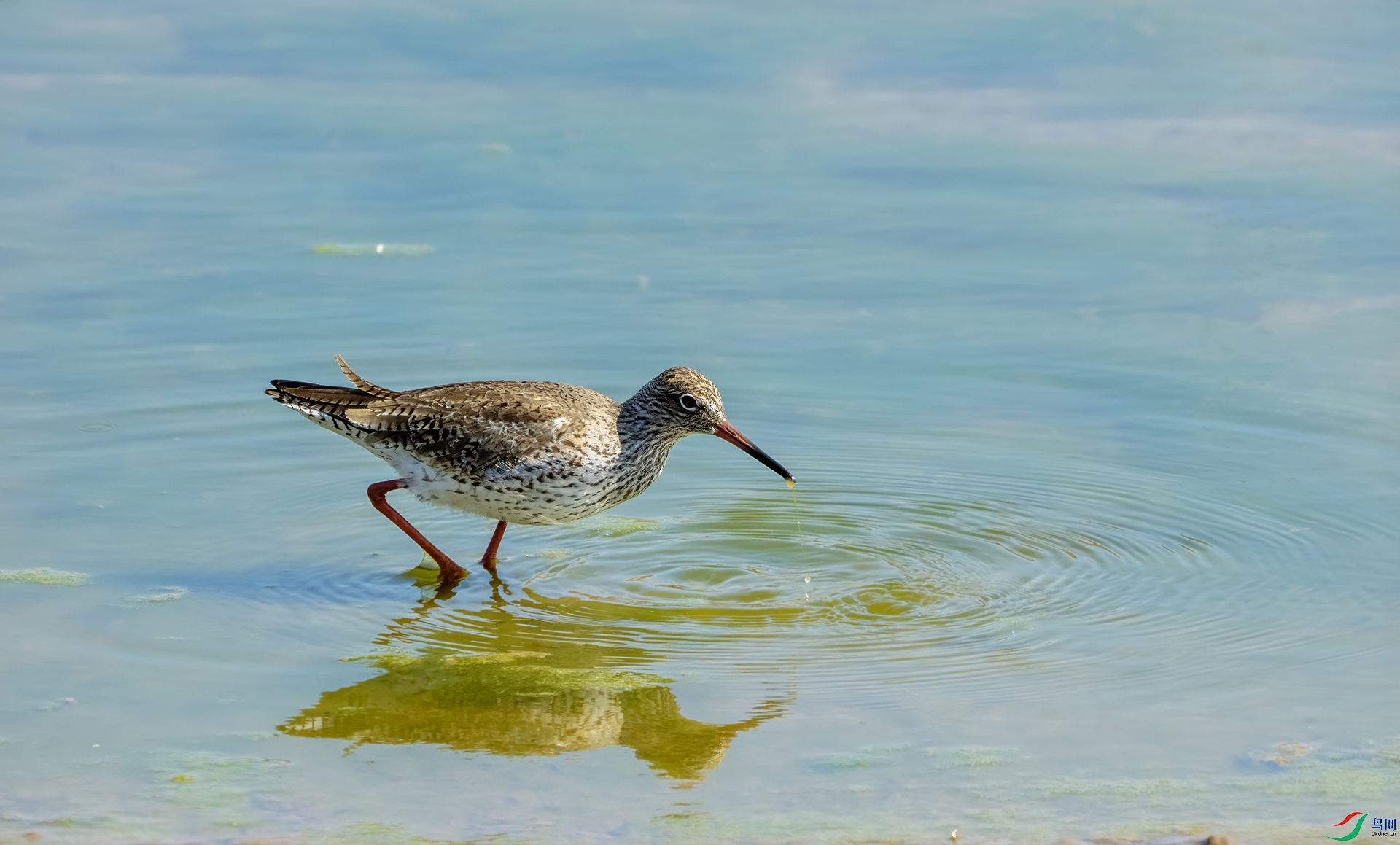 DSC02270 ����.jpg