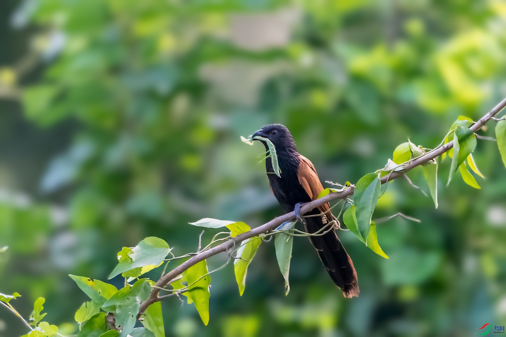 DSC_7661-11.jpg