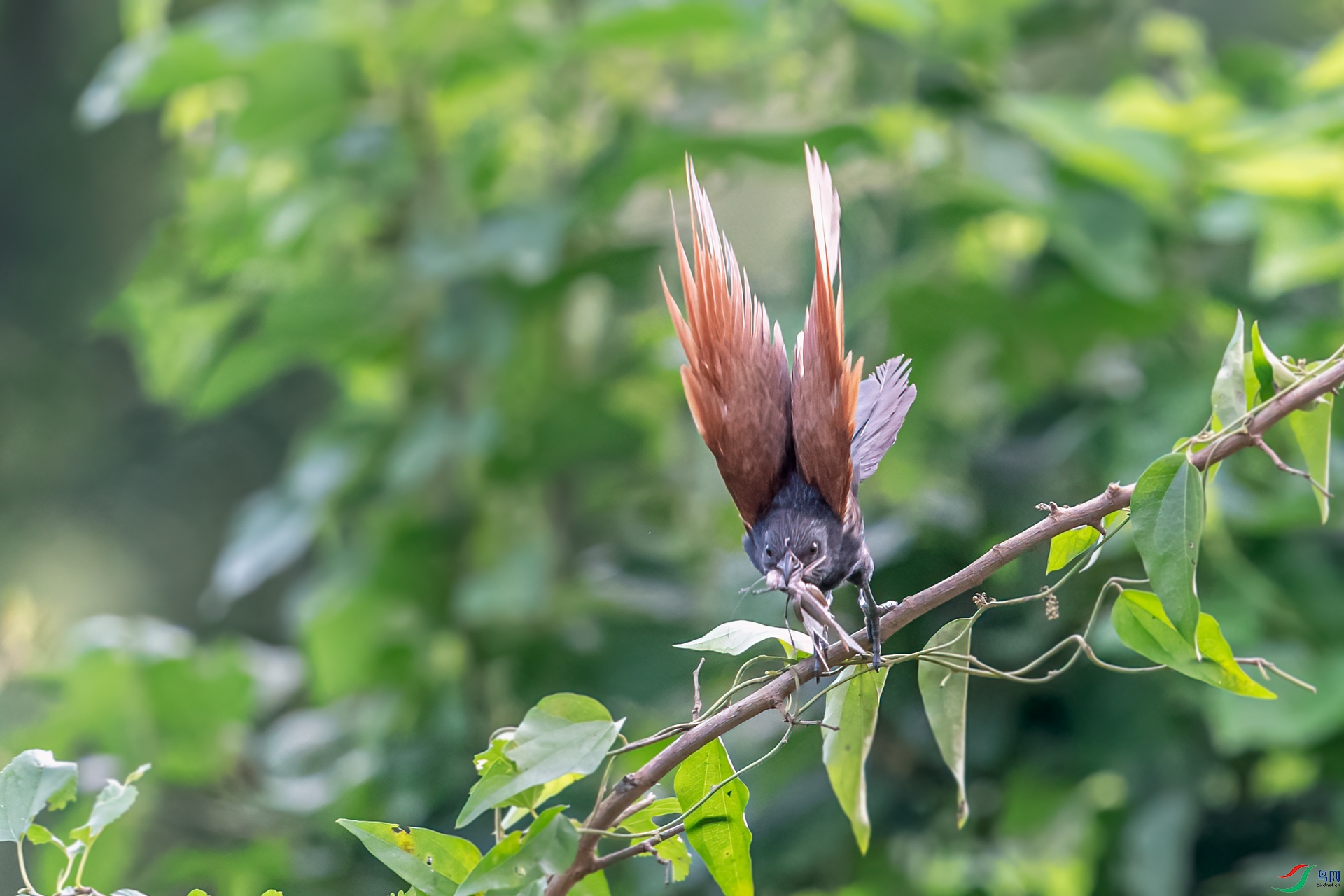 DSC_7784-11.jpg