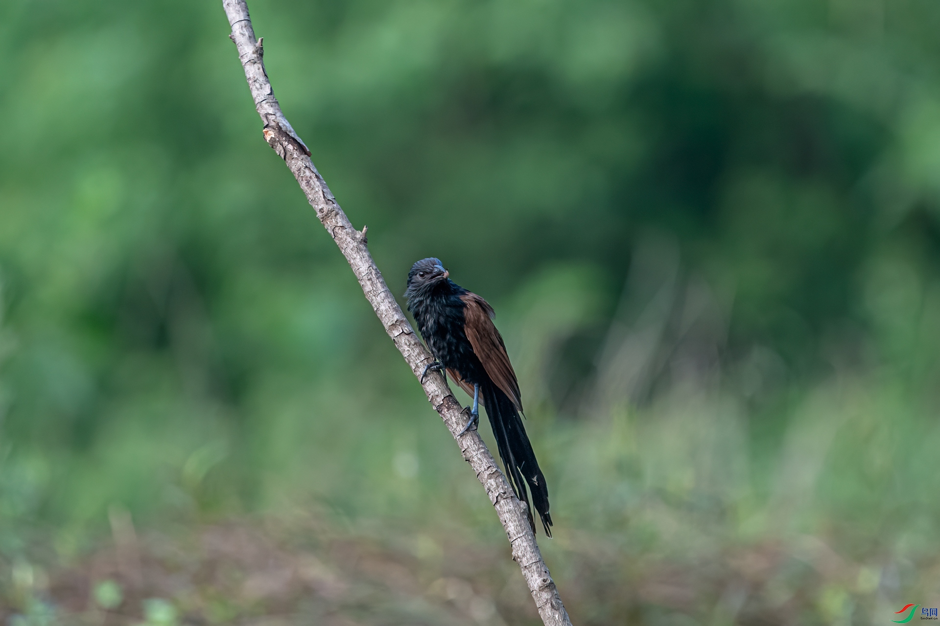 DSC_8074-11.jpg