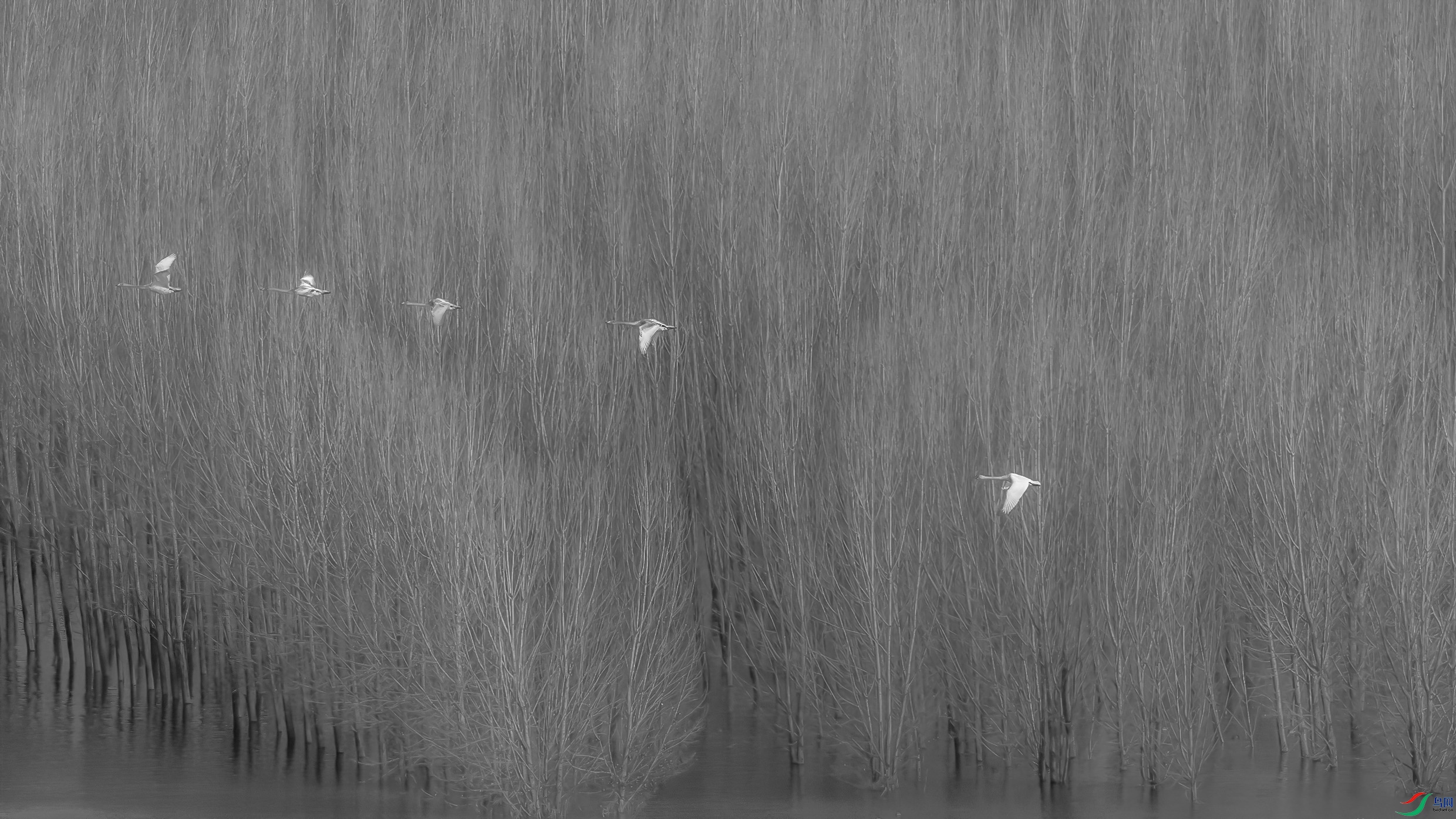 G81A7966 ����.jpg