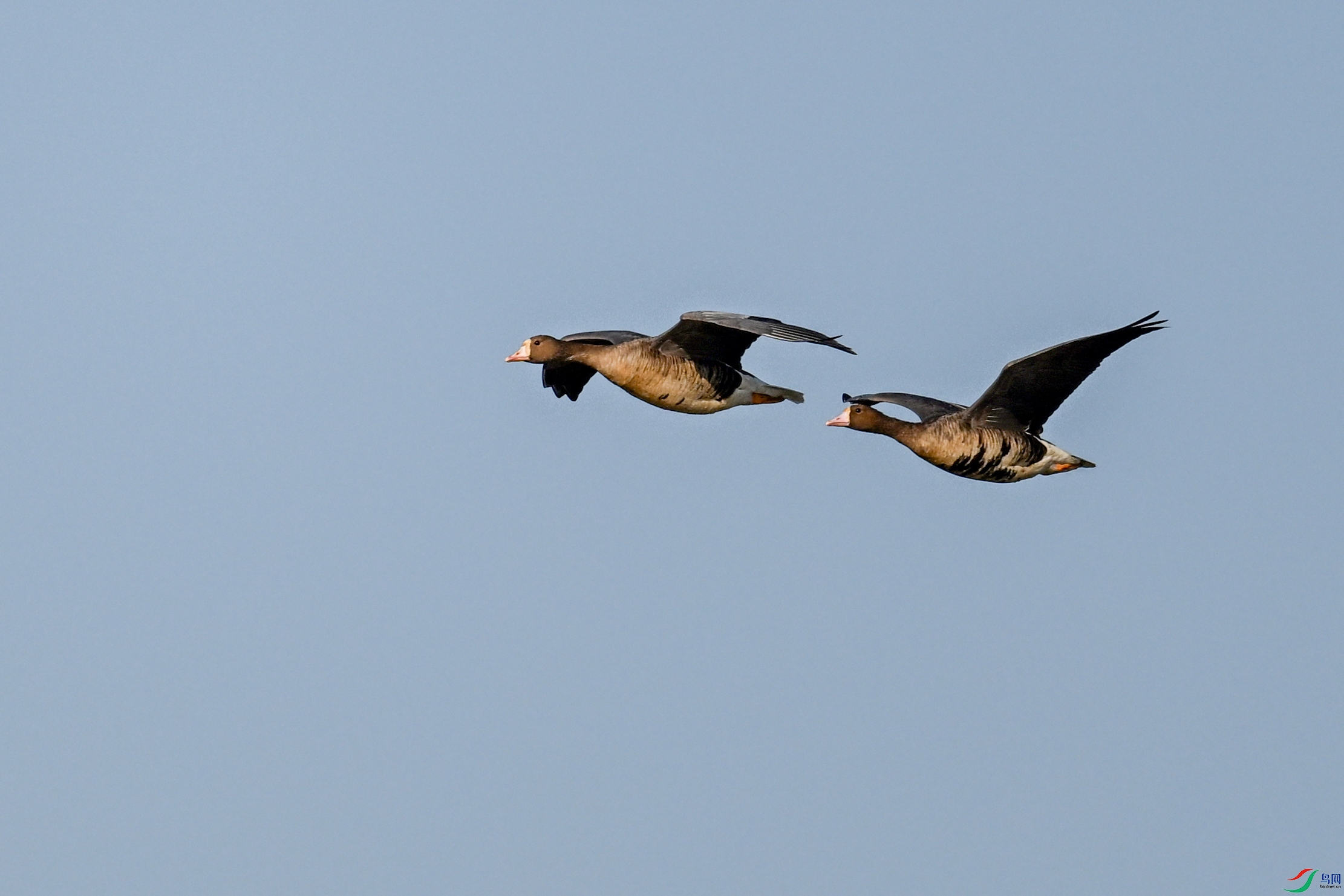 DSC_8451.JPG