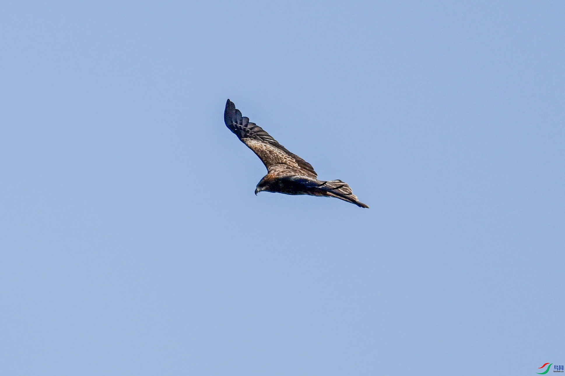 DSC_8500.JPG