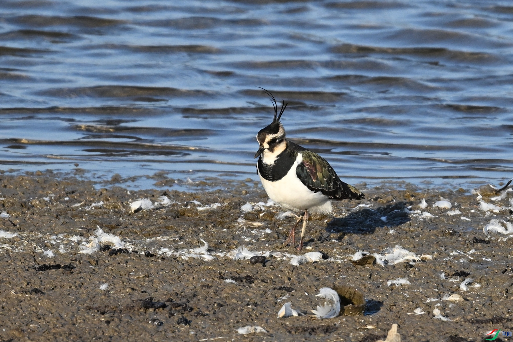 DSC_8704.JPG